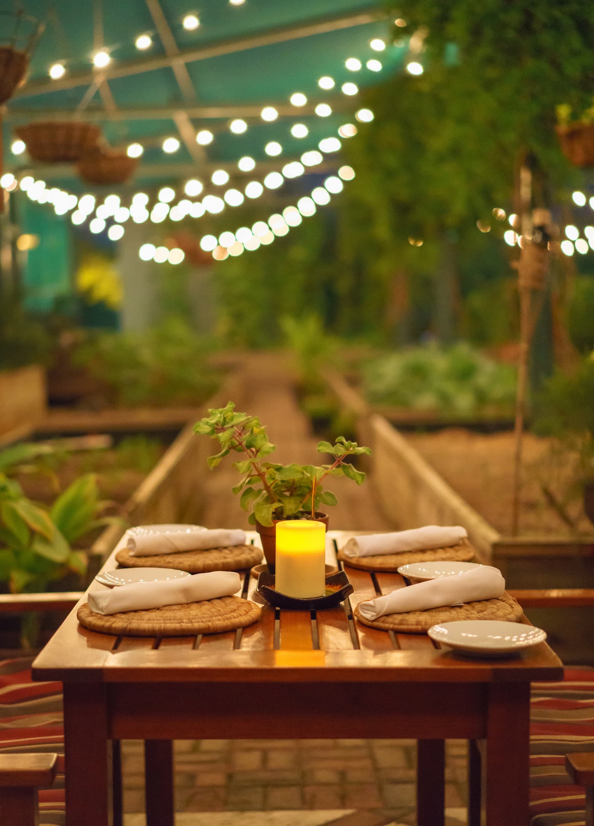 Grand Cayman photo DSC05632