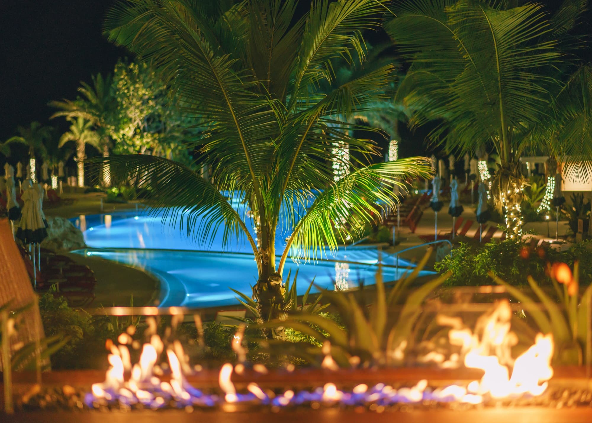 Grand Cayman photo DSC05767