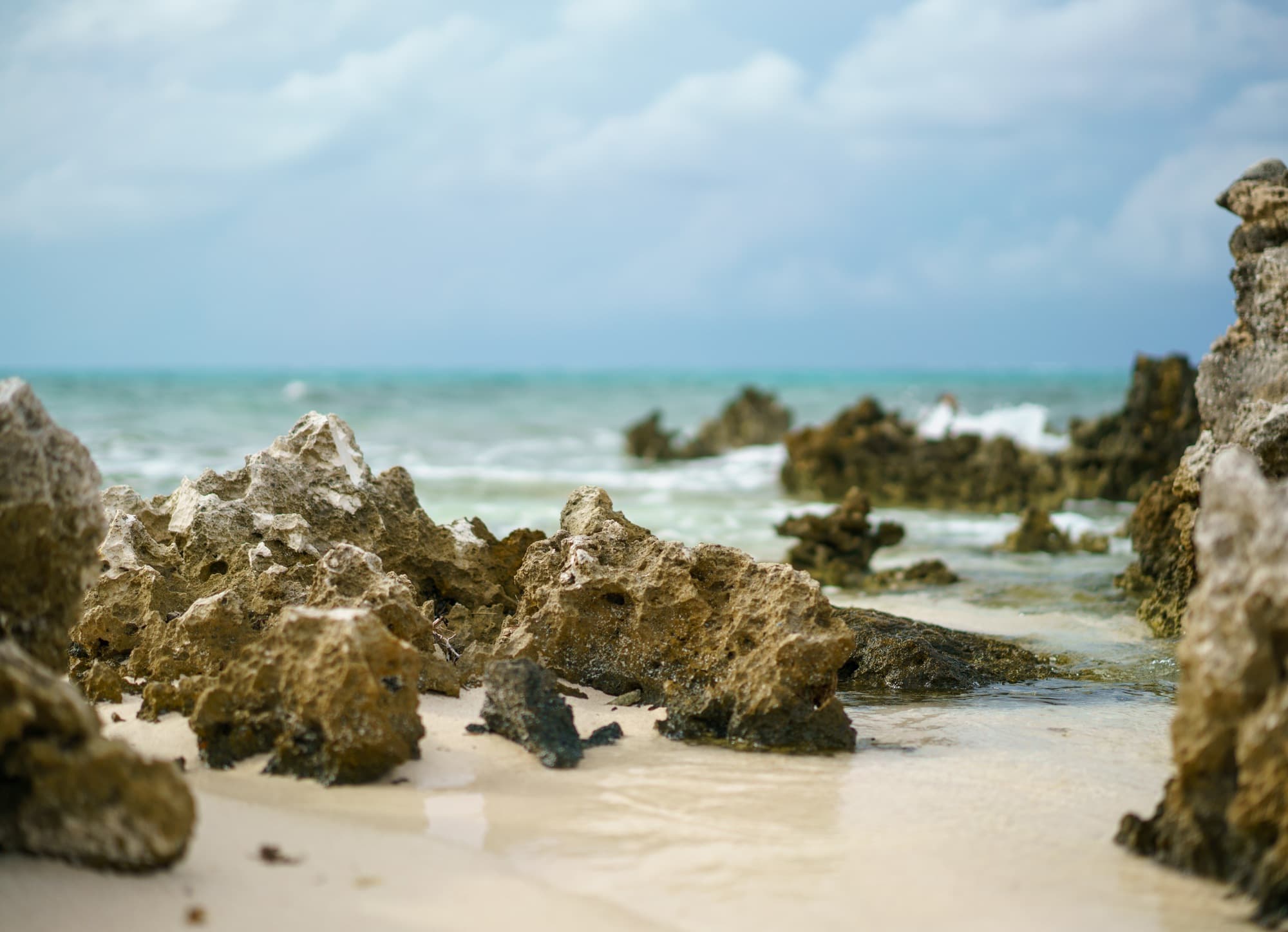 Grand Cayman photo DSC6081