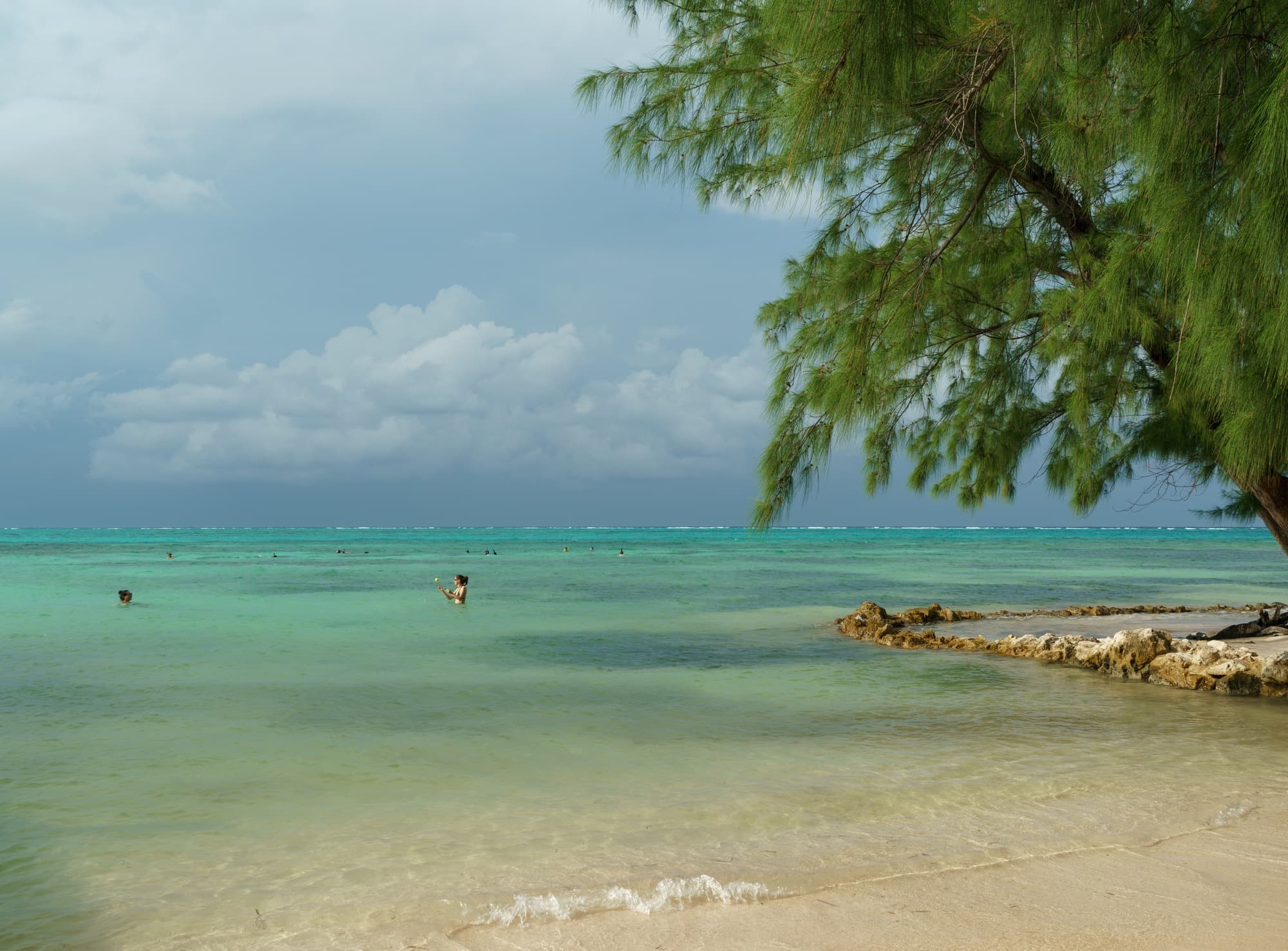 Grand Cayman photo DSC6100