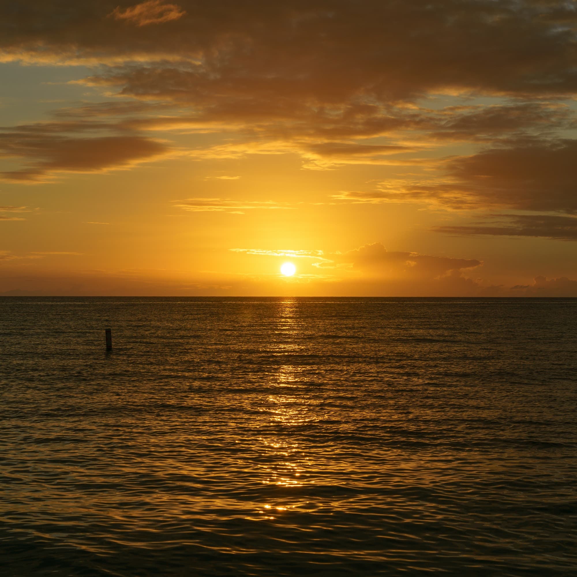 Grand Cayman photo DSC6342