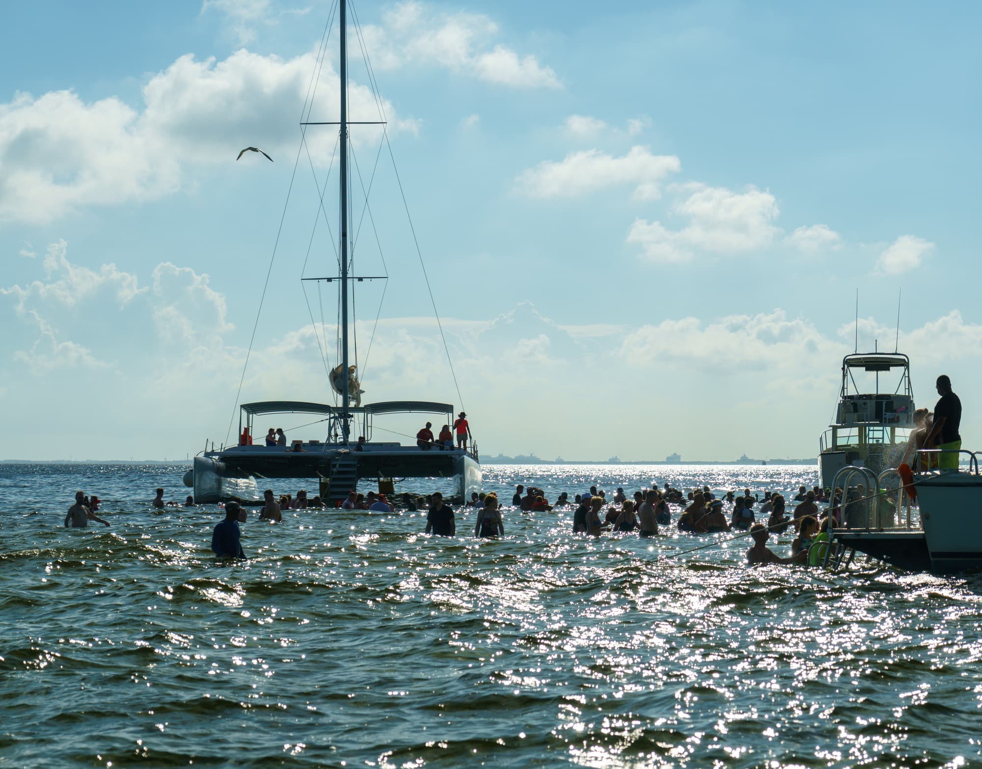 Grand Cayman photo DSC6887