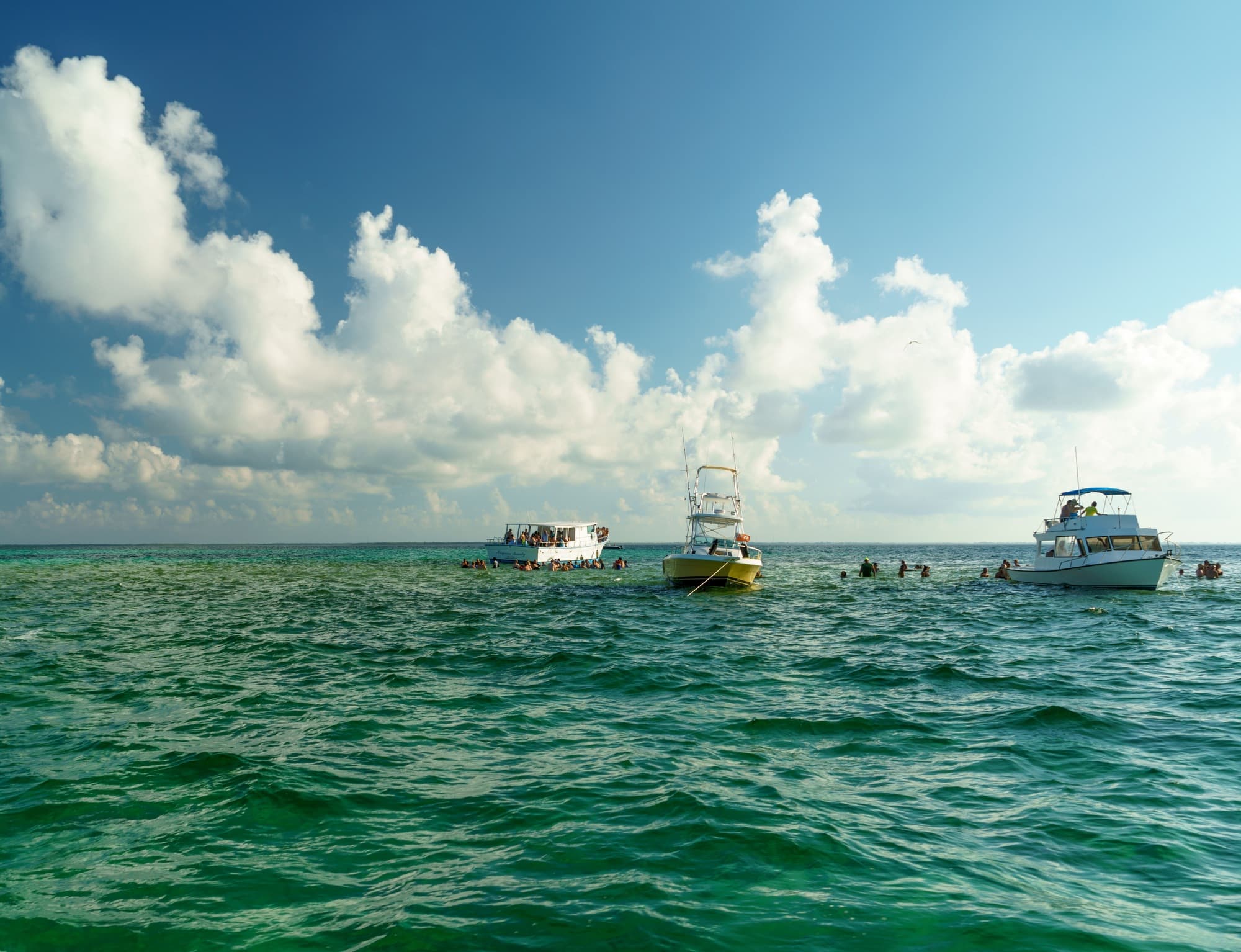 Grand Cayman photo DSC6945