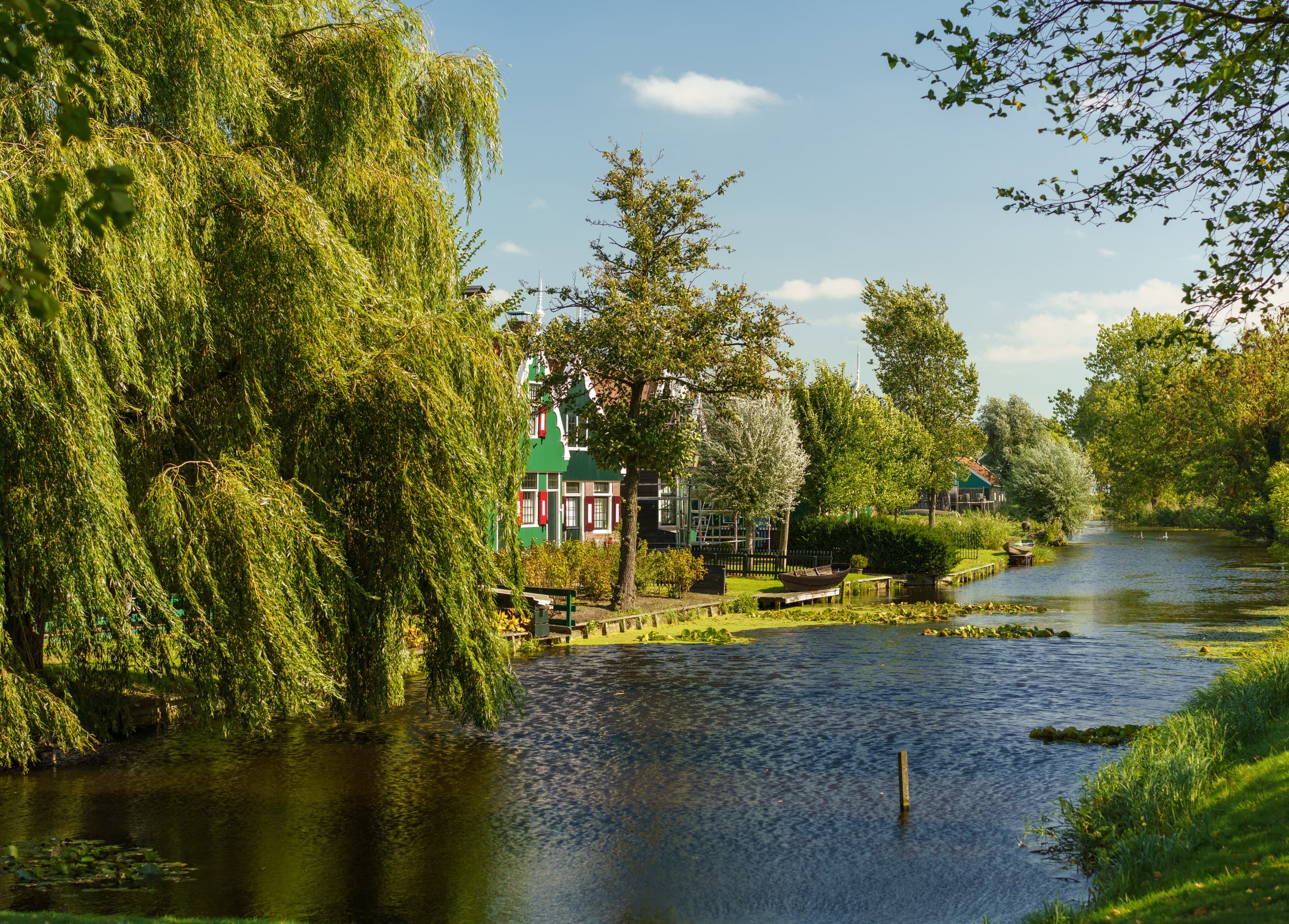 Amsterdam photo DSC0289