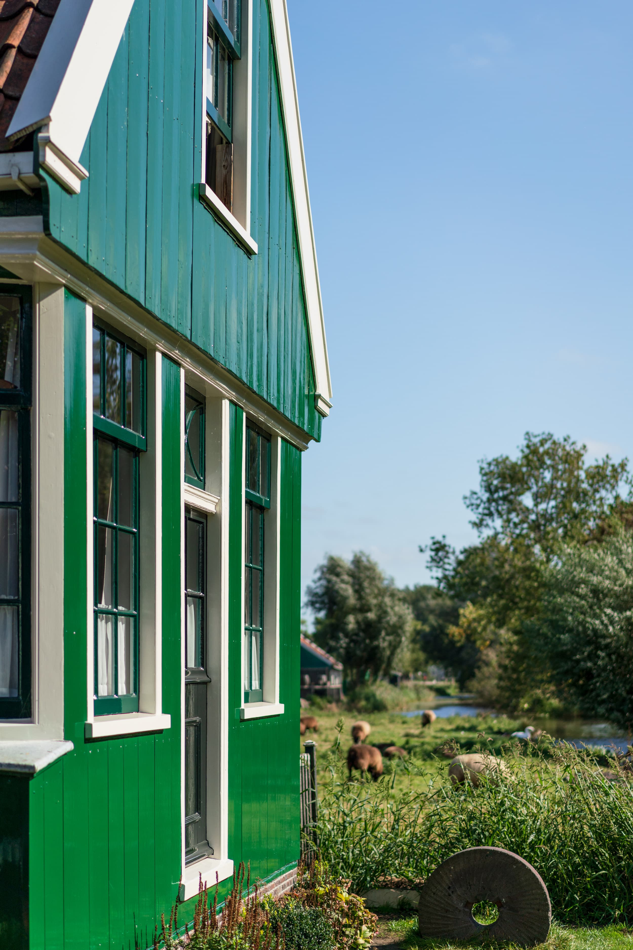 Amsterdam photo DSC0300