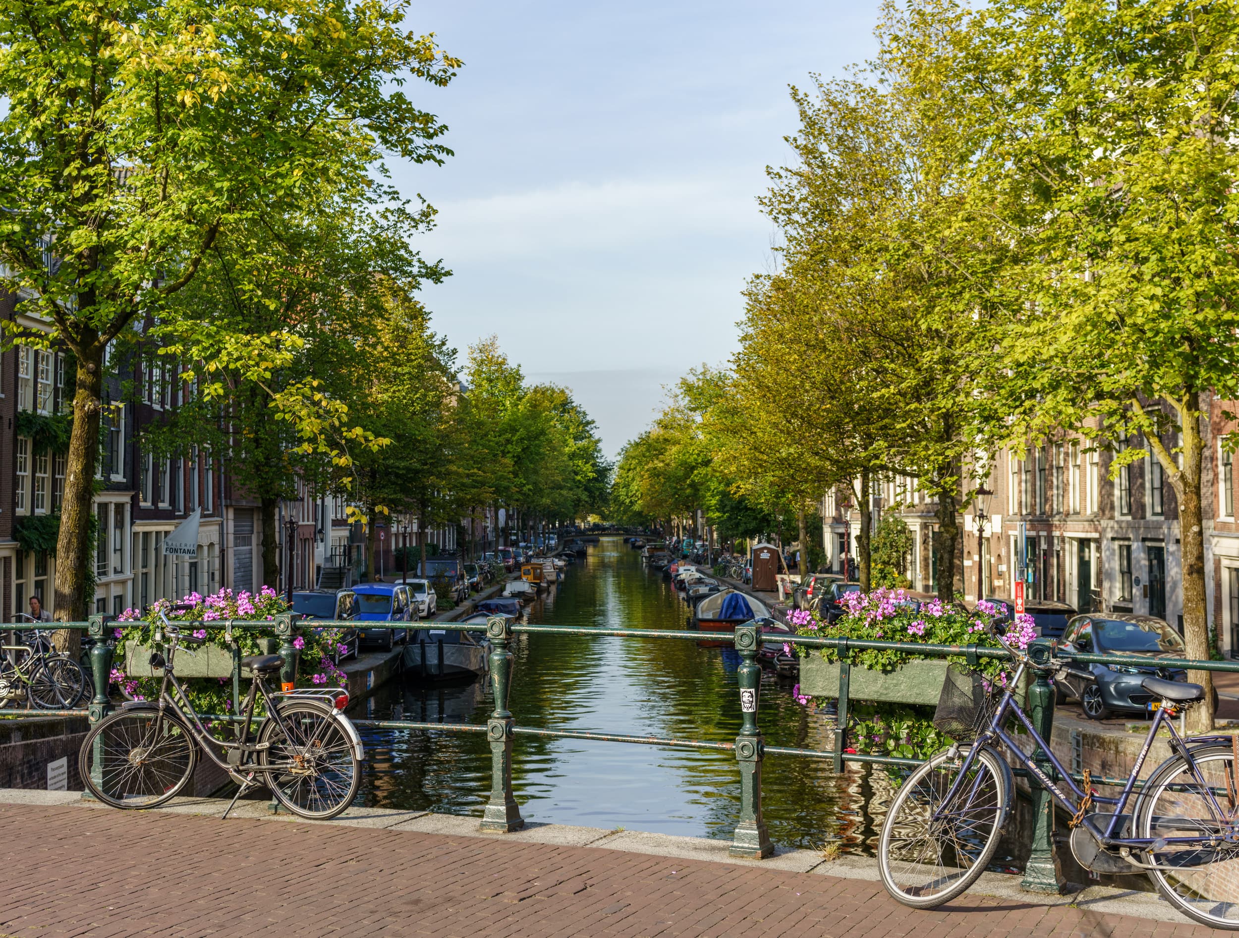 Amsterdam photo DSC0431