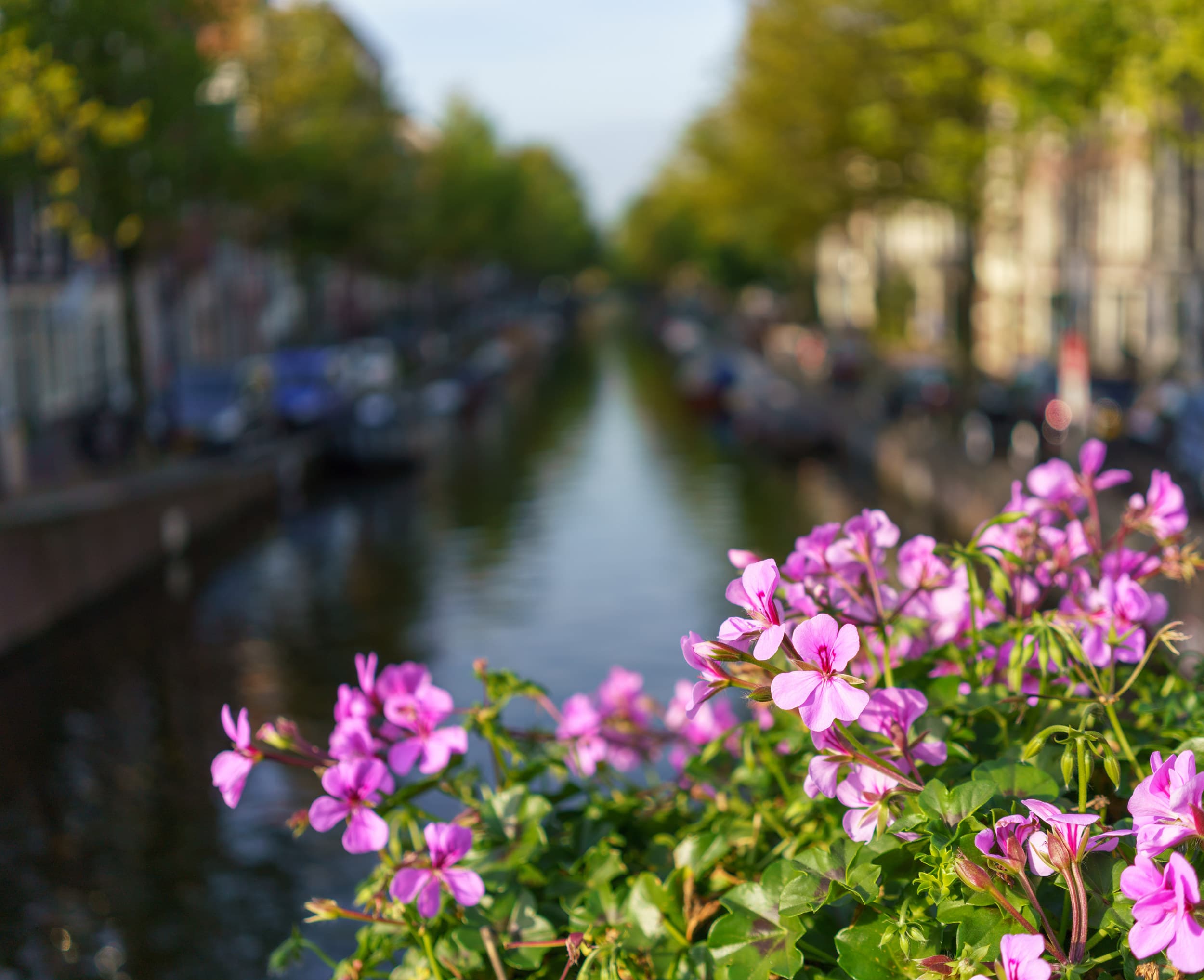 Amsterdam photo DSC0438