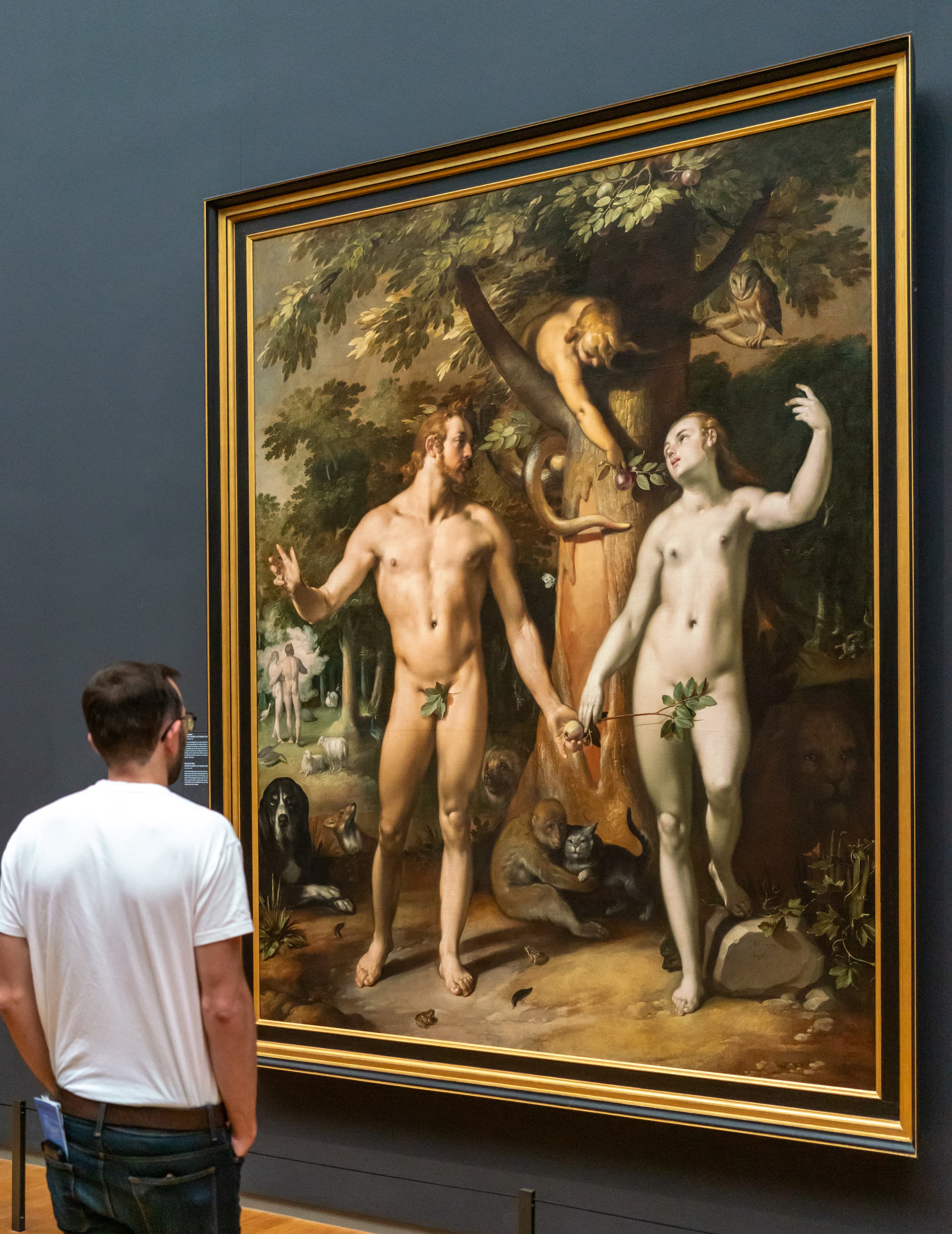 Amsterdam photo DSC0540