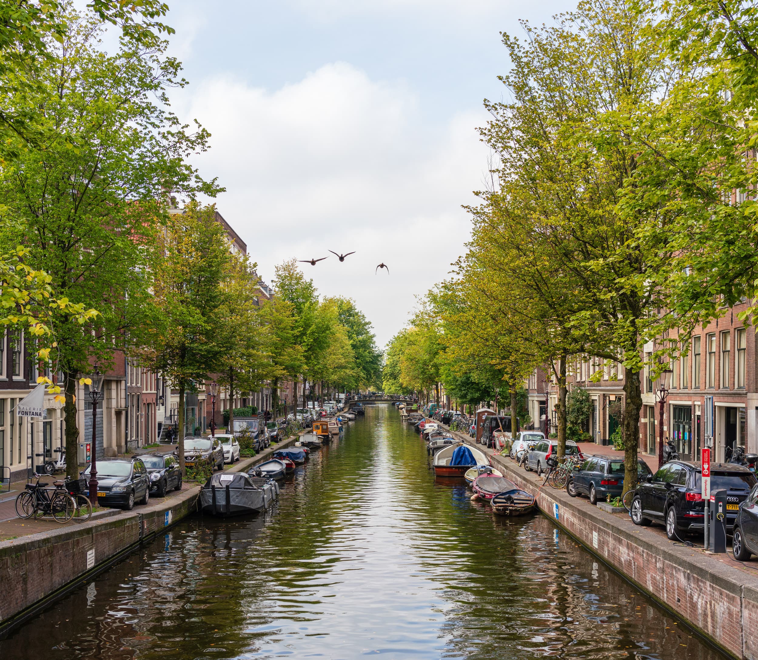 Amsterdam photo DSC9907