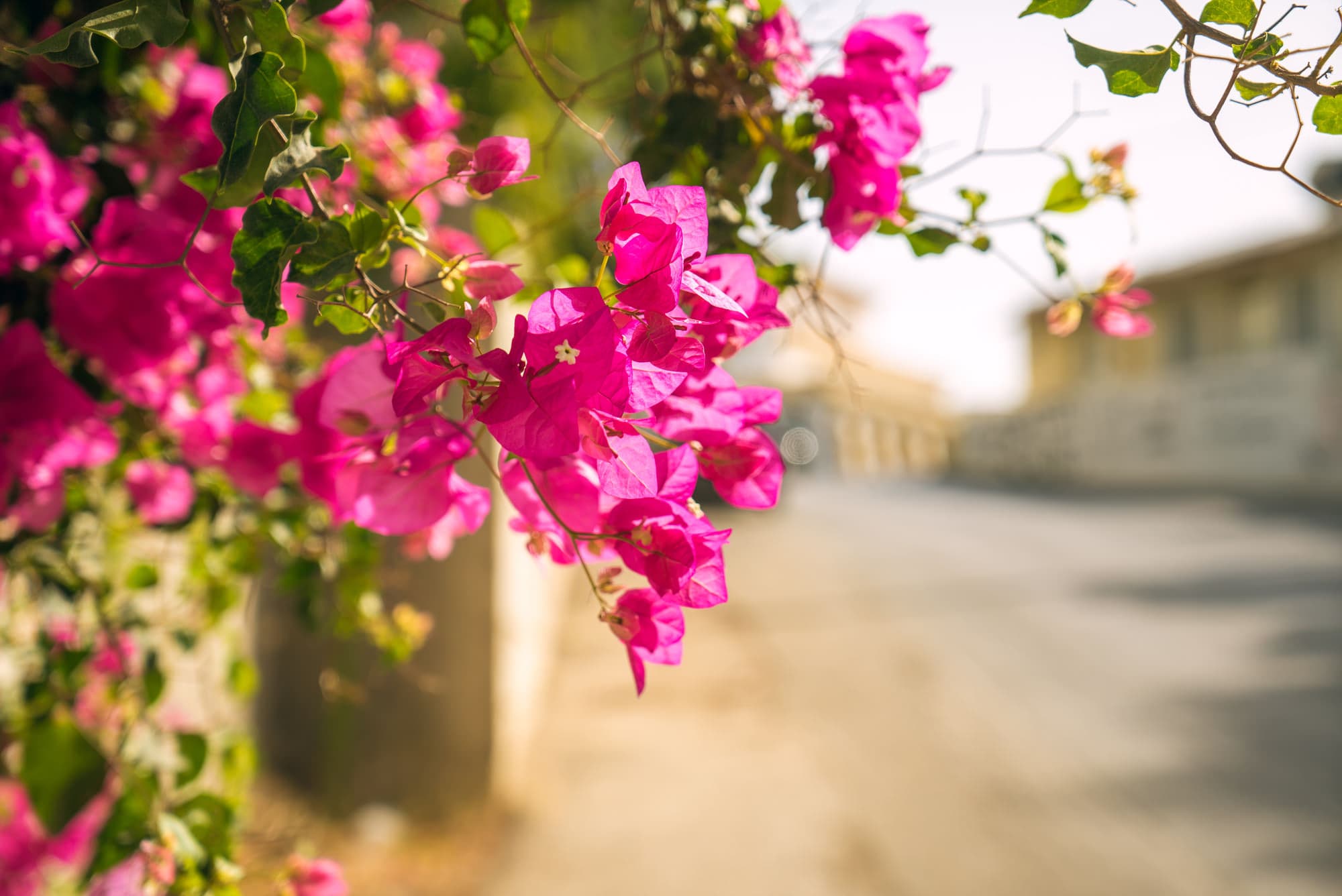 Crete photo DSC00790