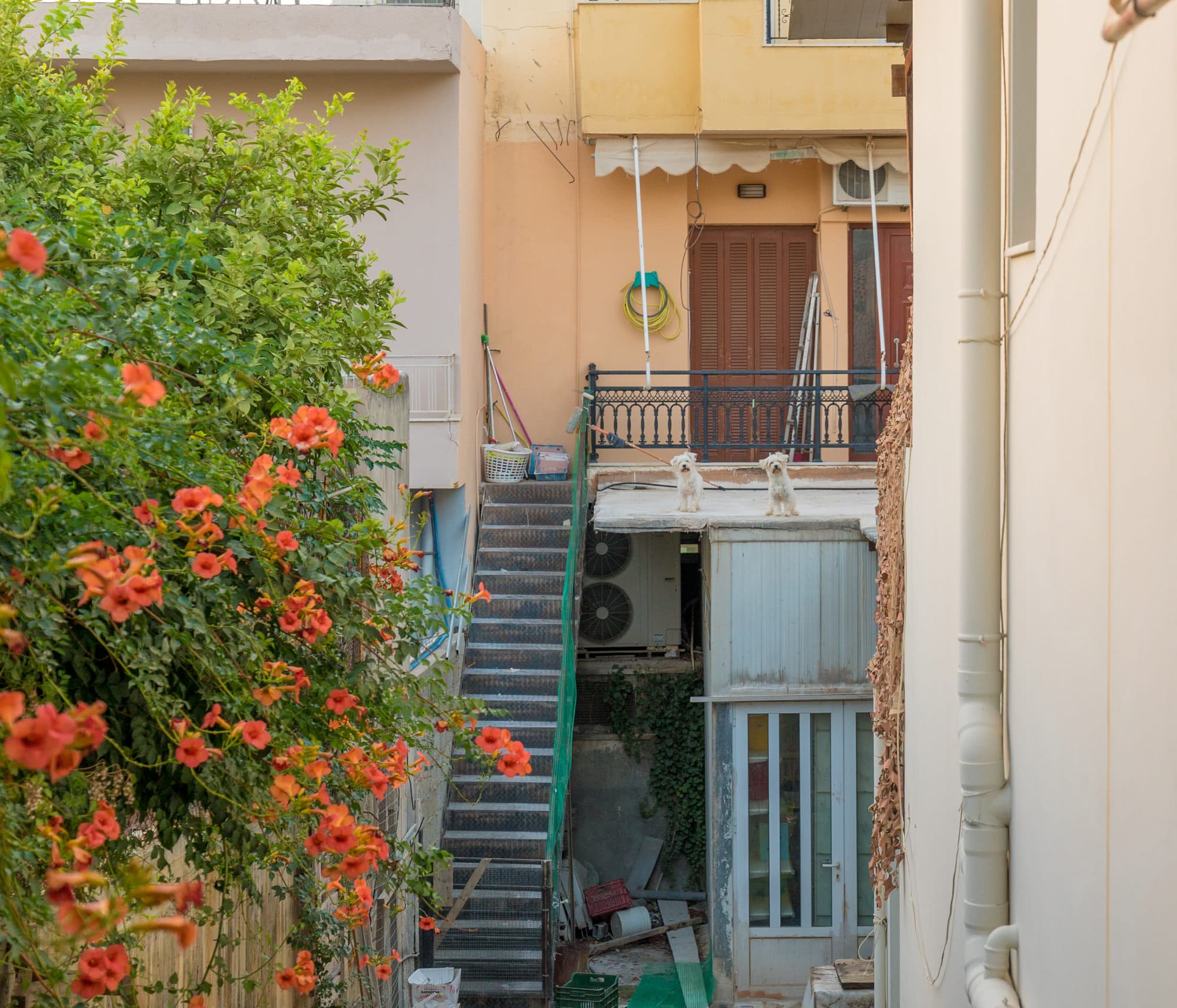 Crete photo DSC01142