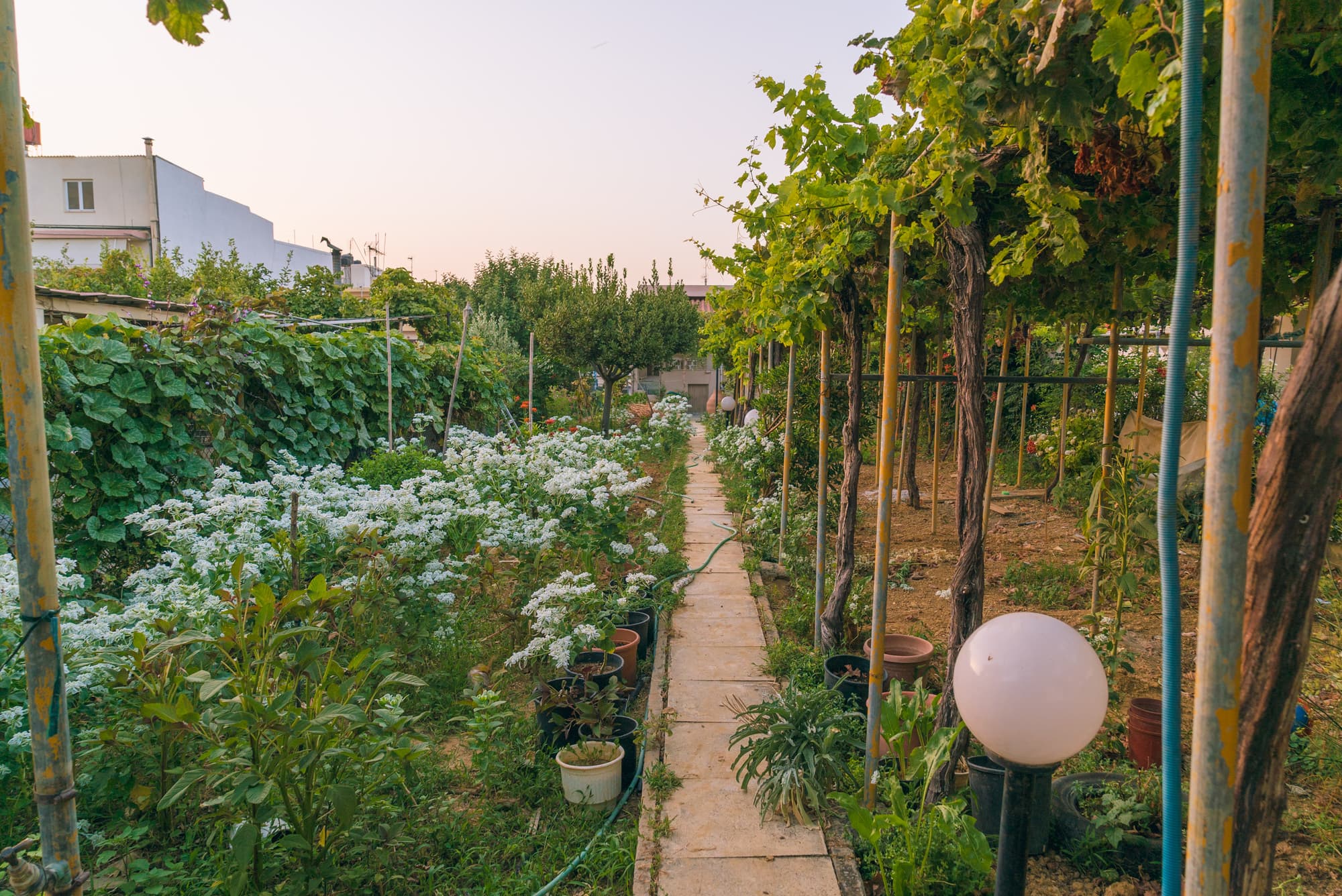 Crete photo DSC01146