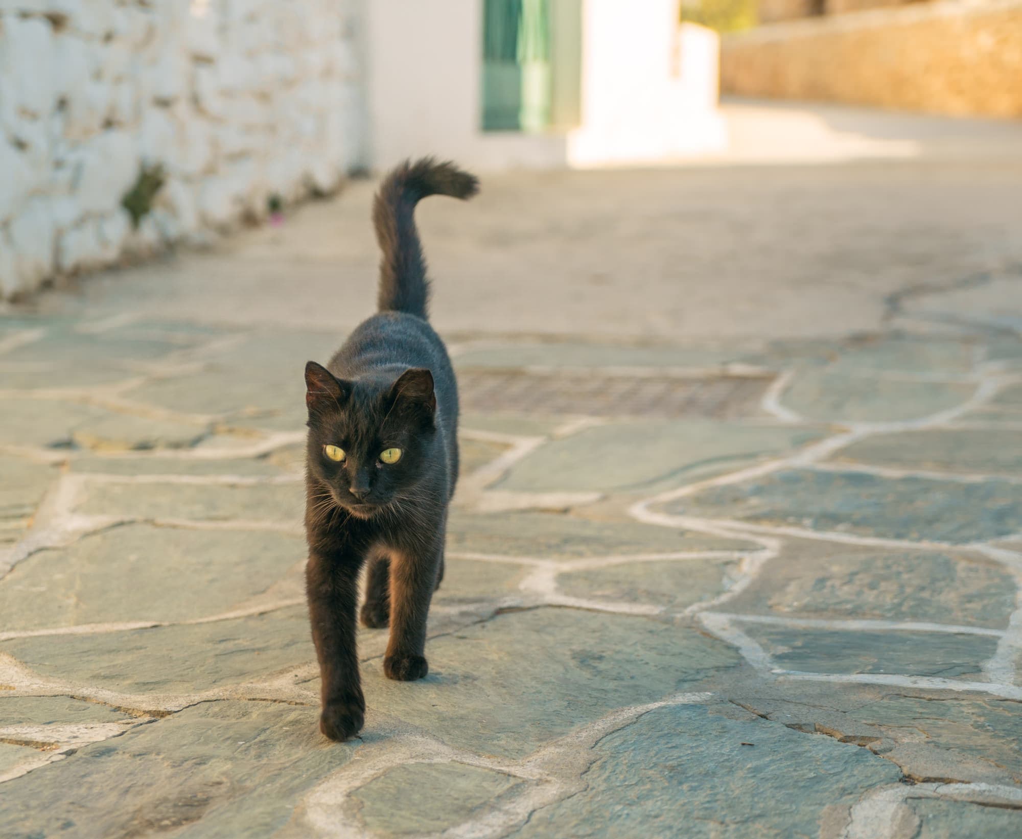 Folegandros photo DSC05916