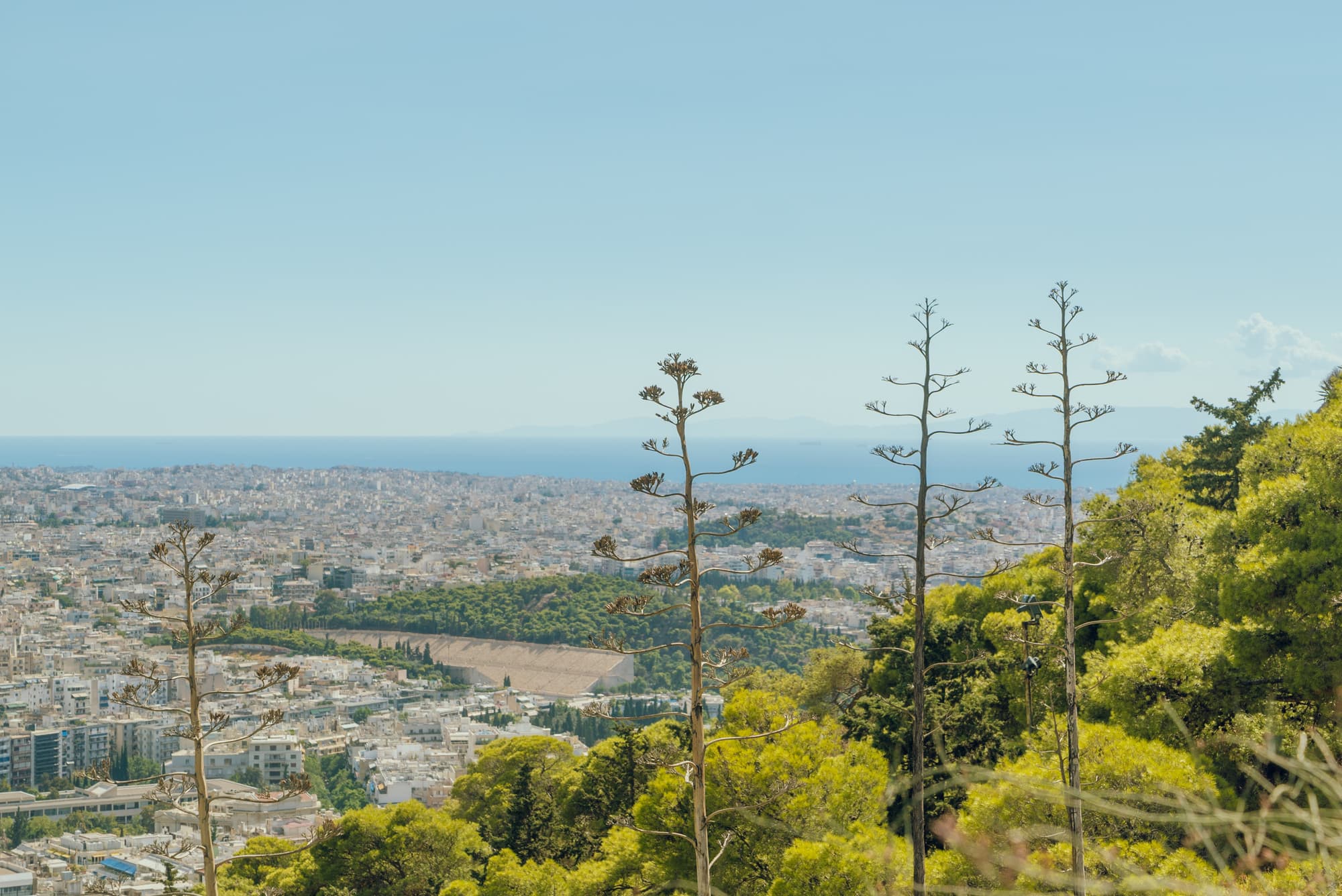 Athens photo DSC06920