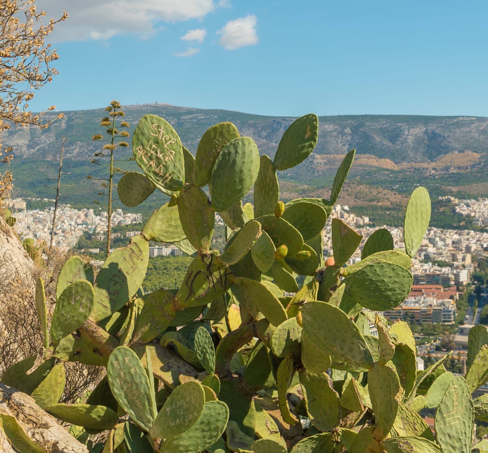 Athens photo DSC07021