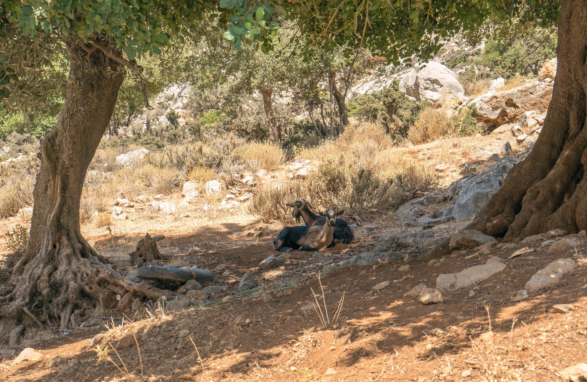 Crete photo DSC01257