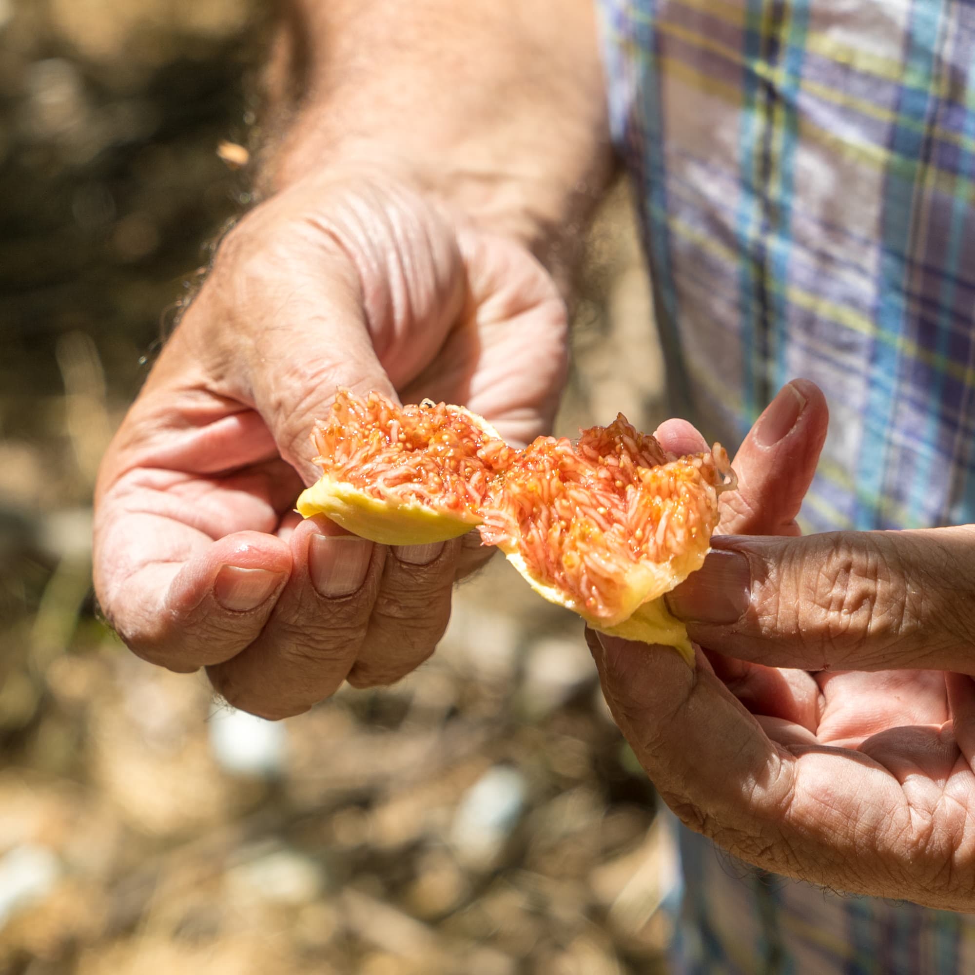 Crete photo DSC01364