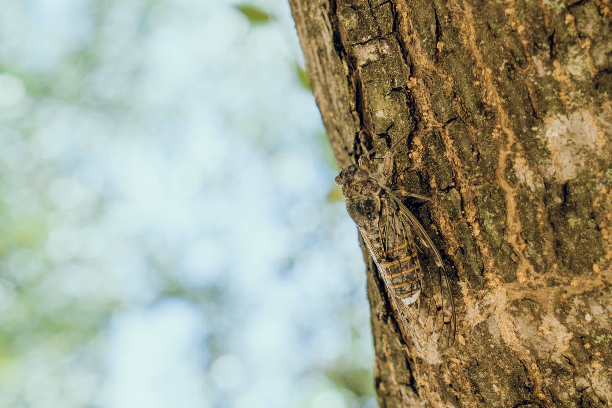 Crete photo DSC01418