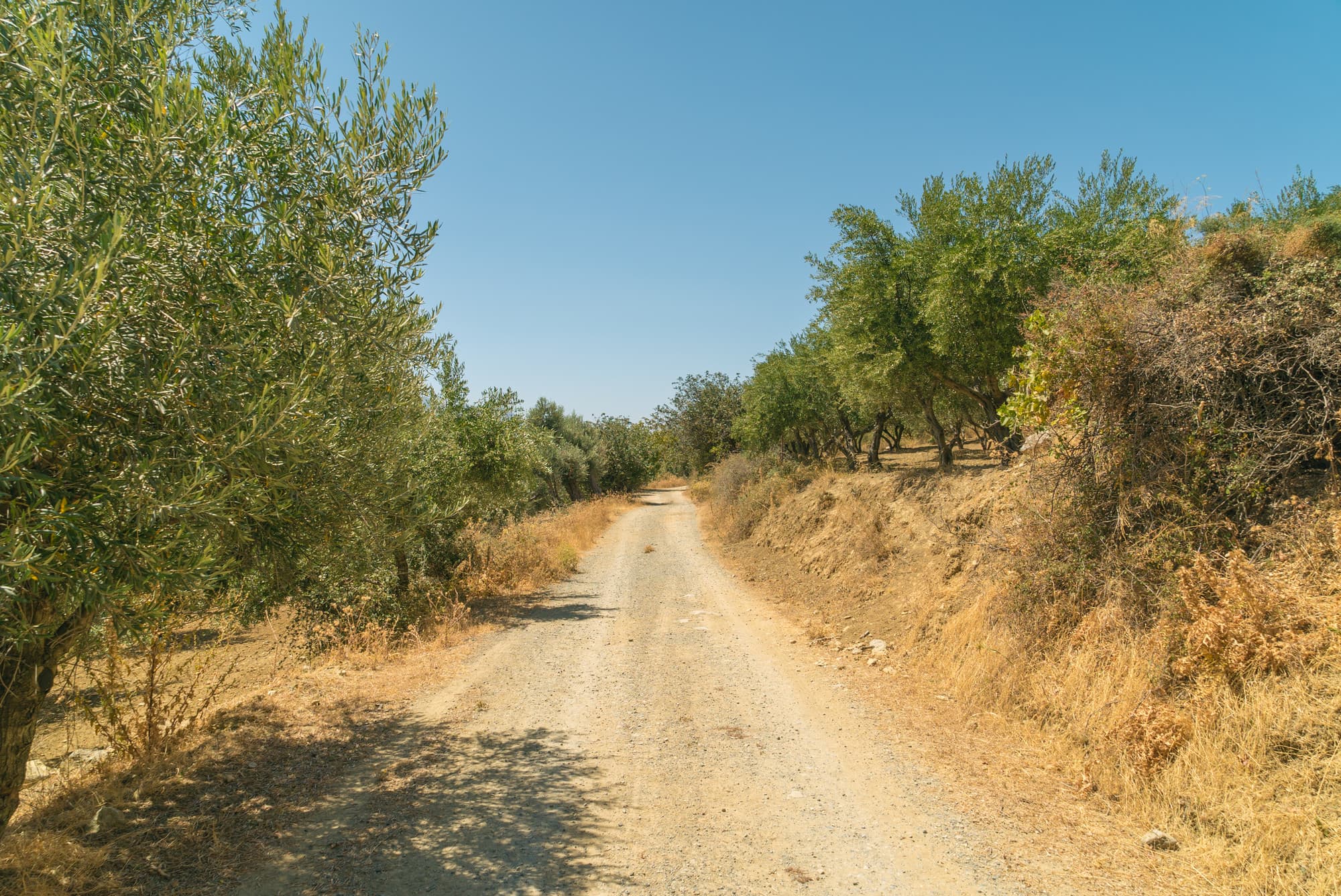 Crete photo DSC01419