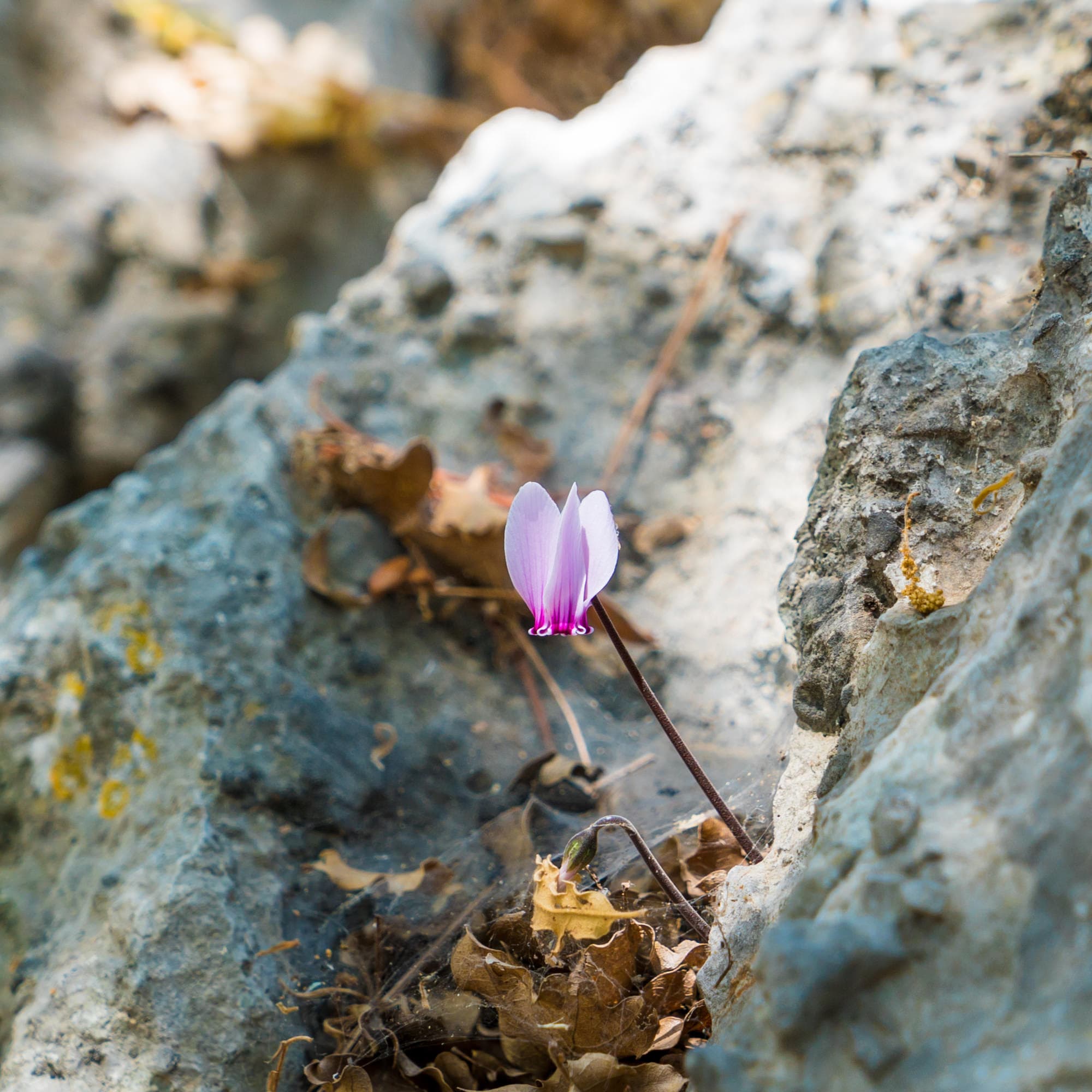 Crete photo DSC01462