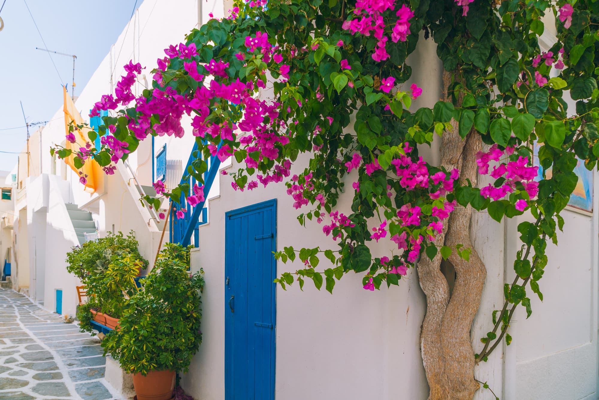 Paros photo DSC02672