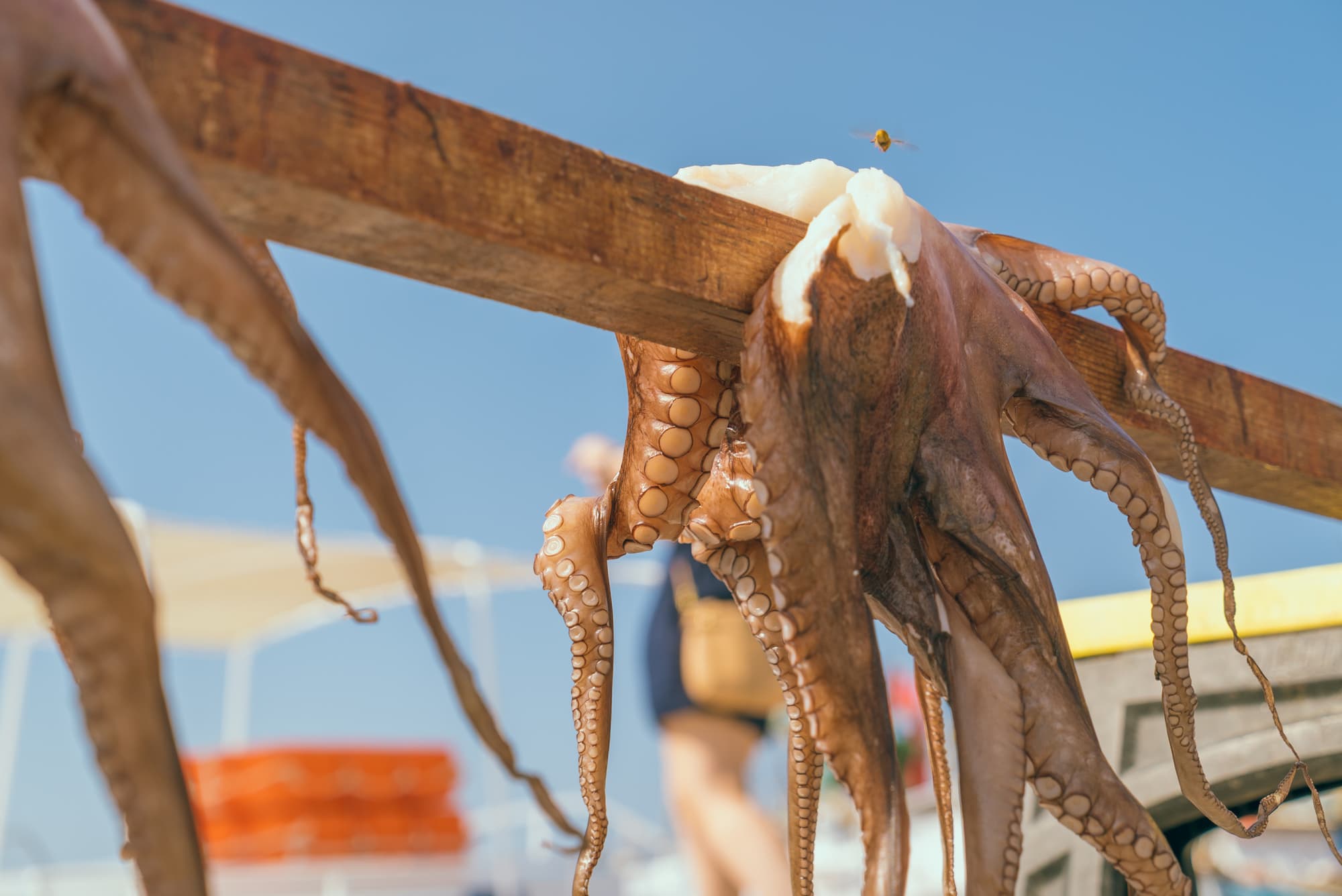 Paros photo DSC02696