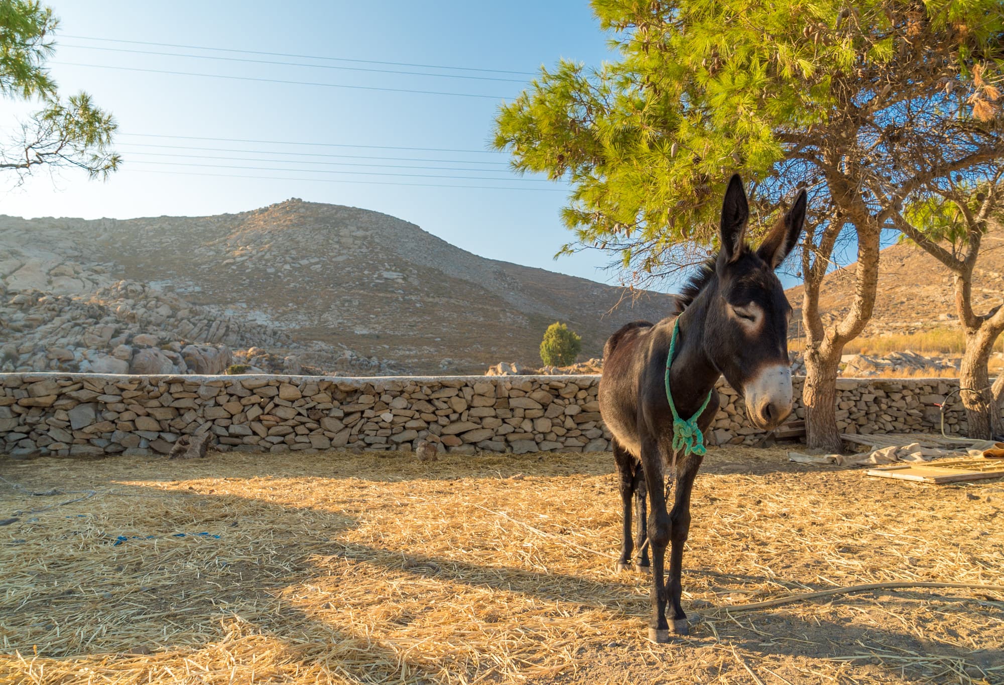 Paros photo DSC02857