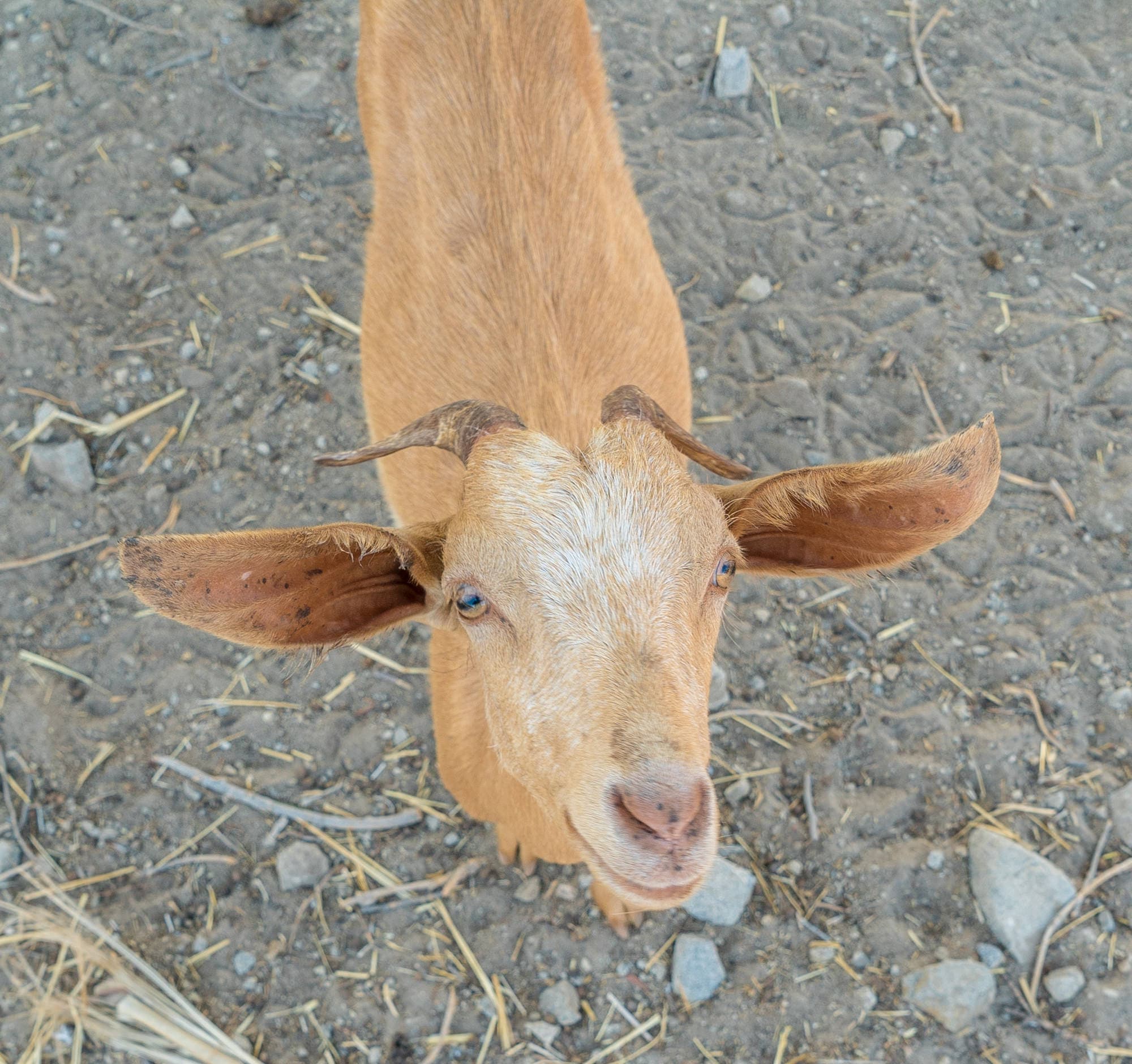 Paros photo DSC02864