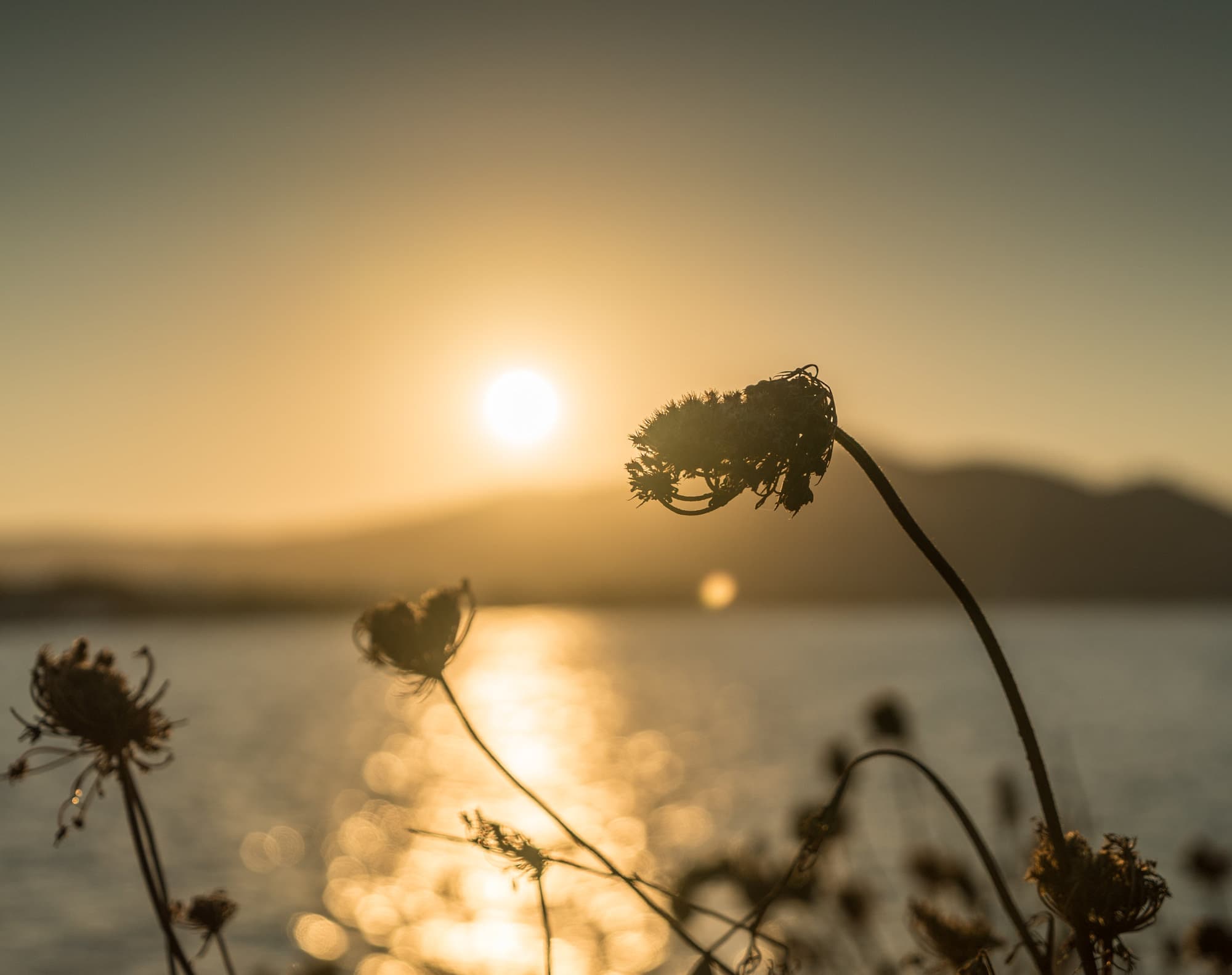Paros photo DSC02909