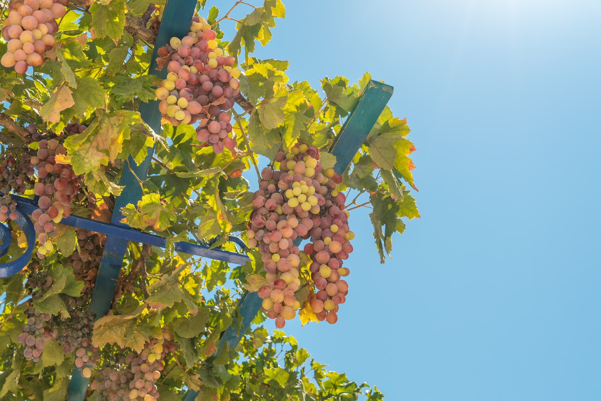 Paros photo DSC03093