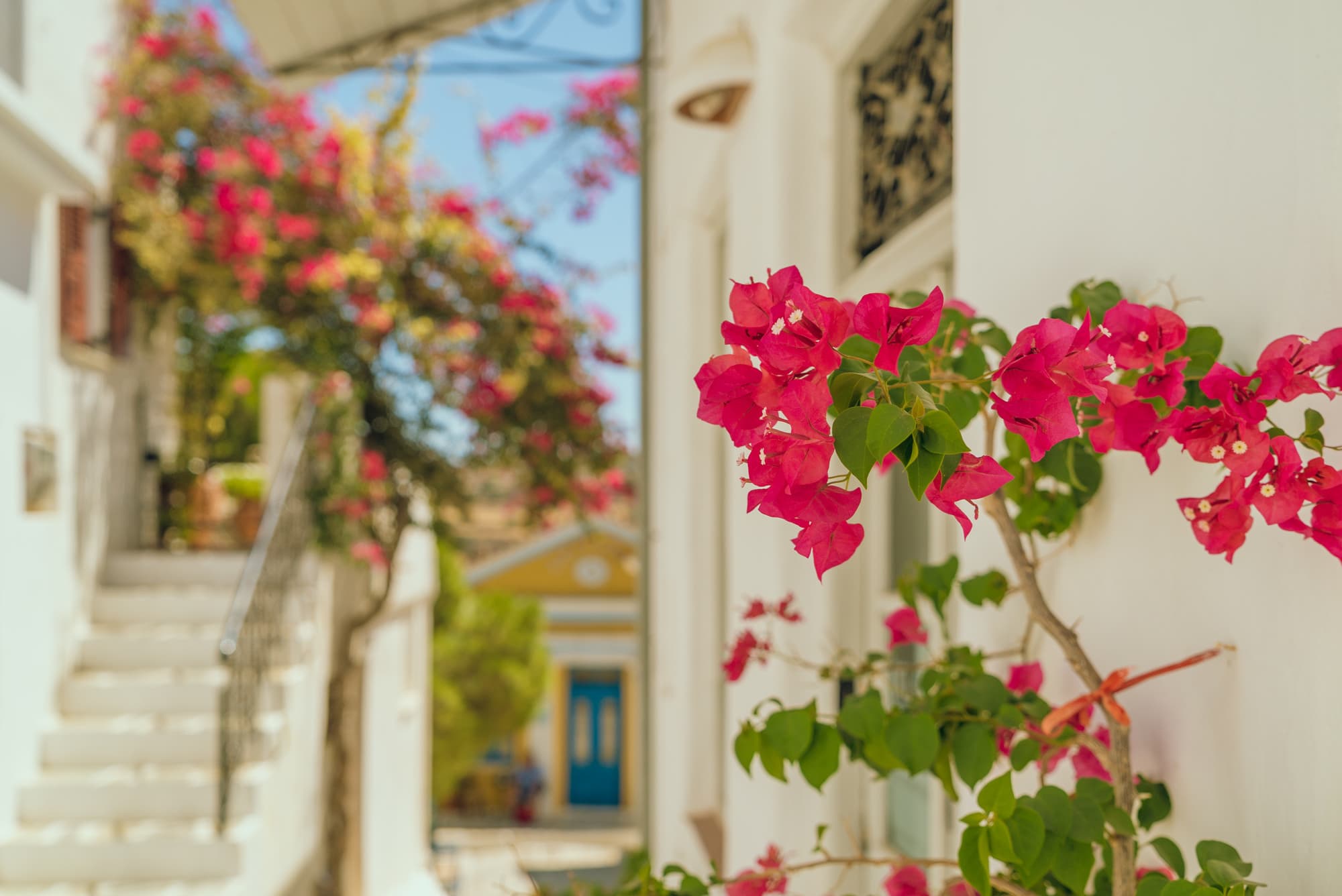 Paros photo DSC03236