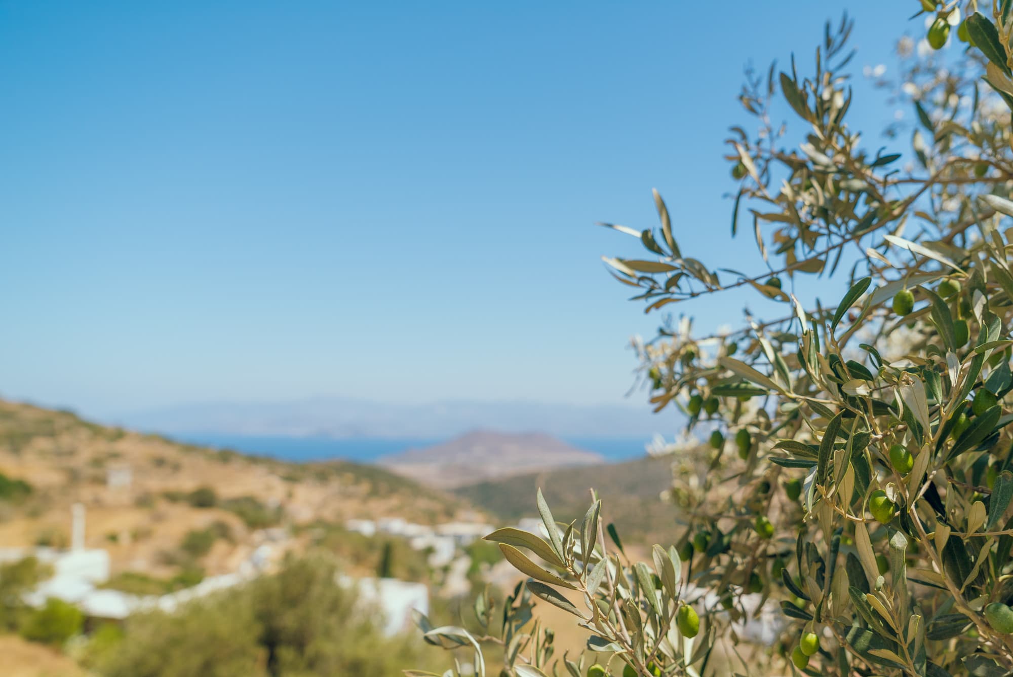 Paros photo DSC03372
