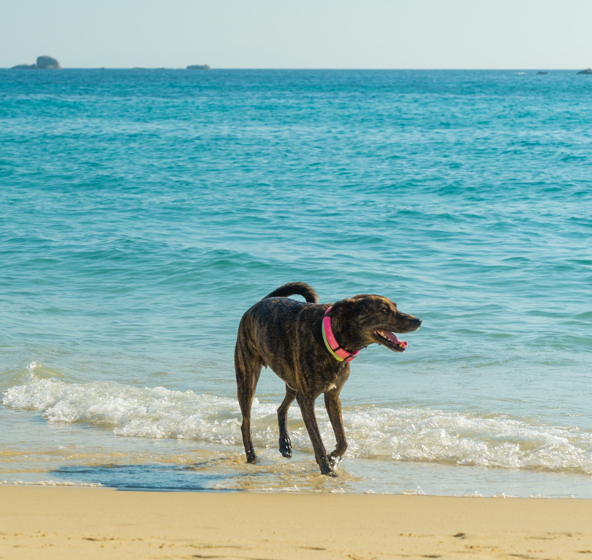 Naxos photo DSC03863
