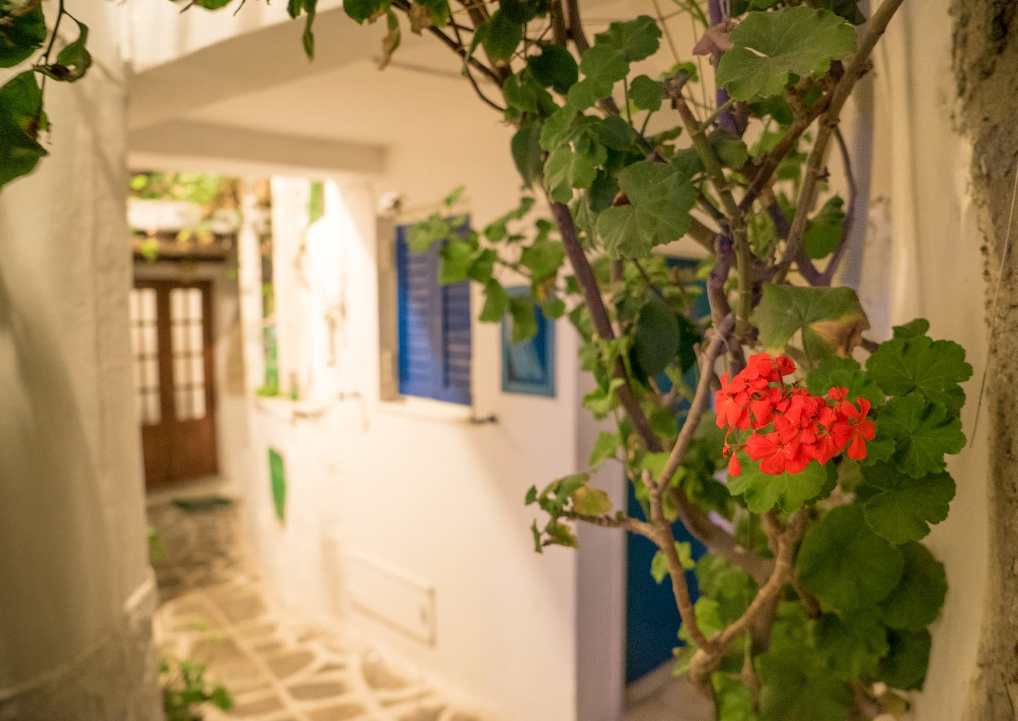 Naxos photo DSC04080