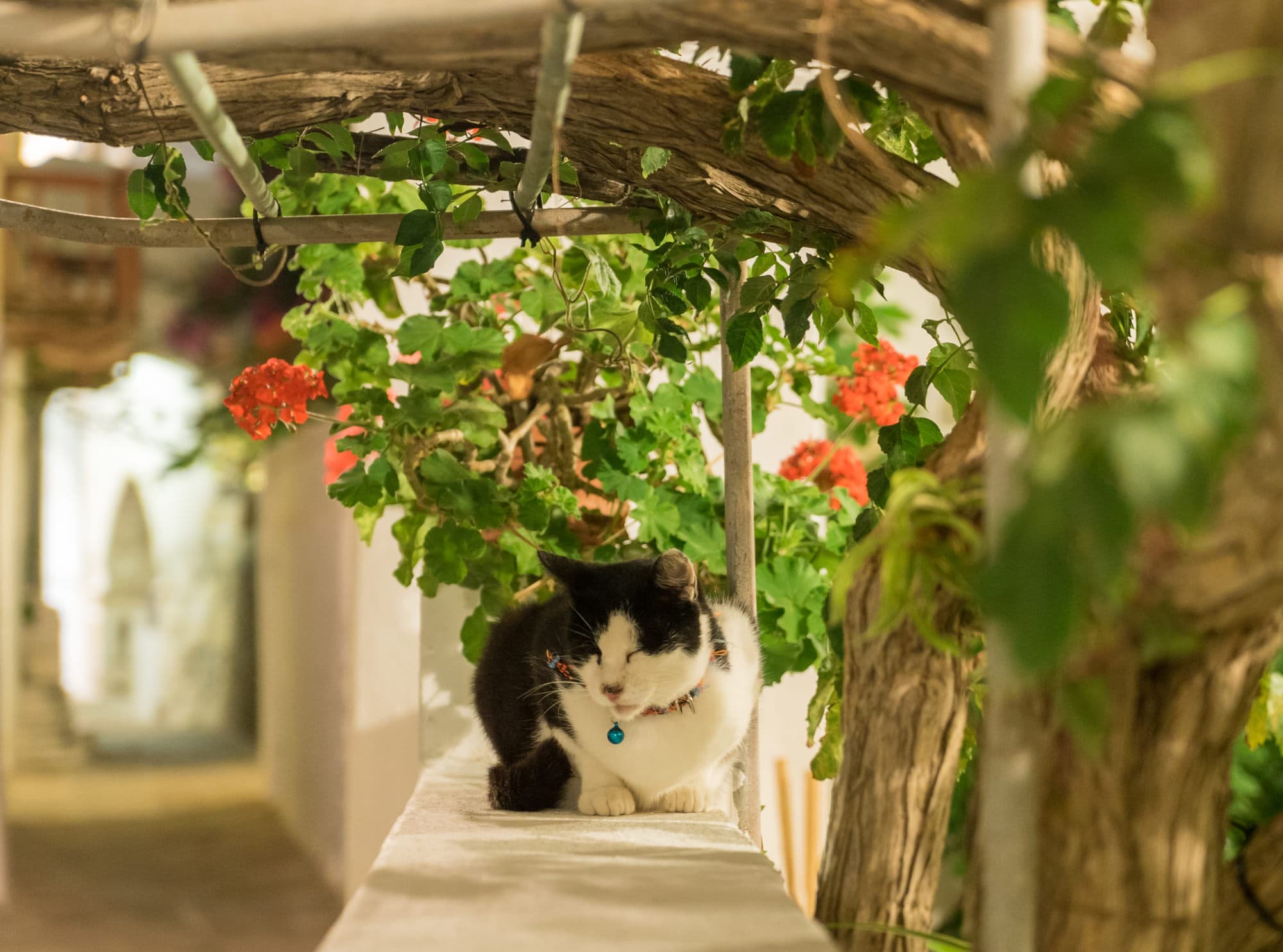 Naxos photo DSC04133