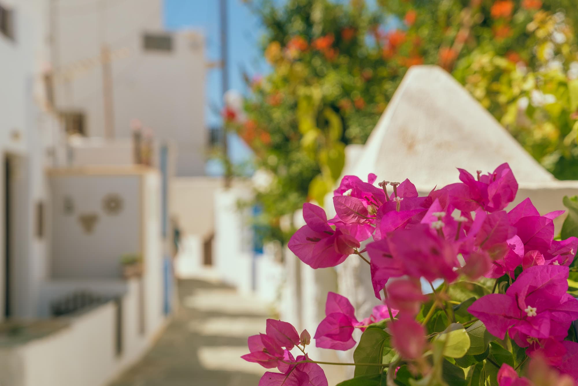 Folegandros photo DSC04963