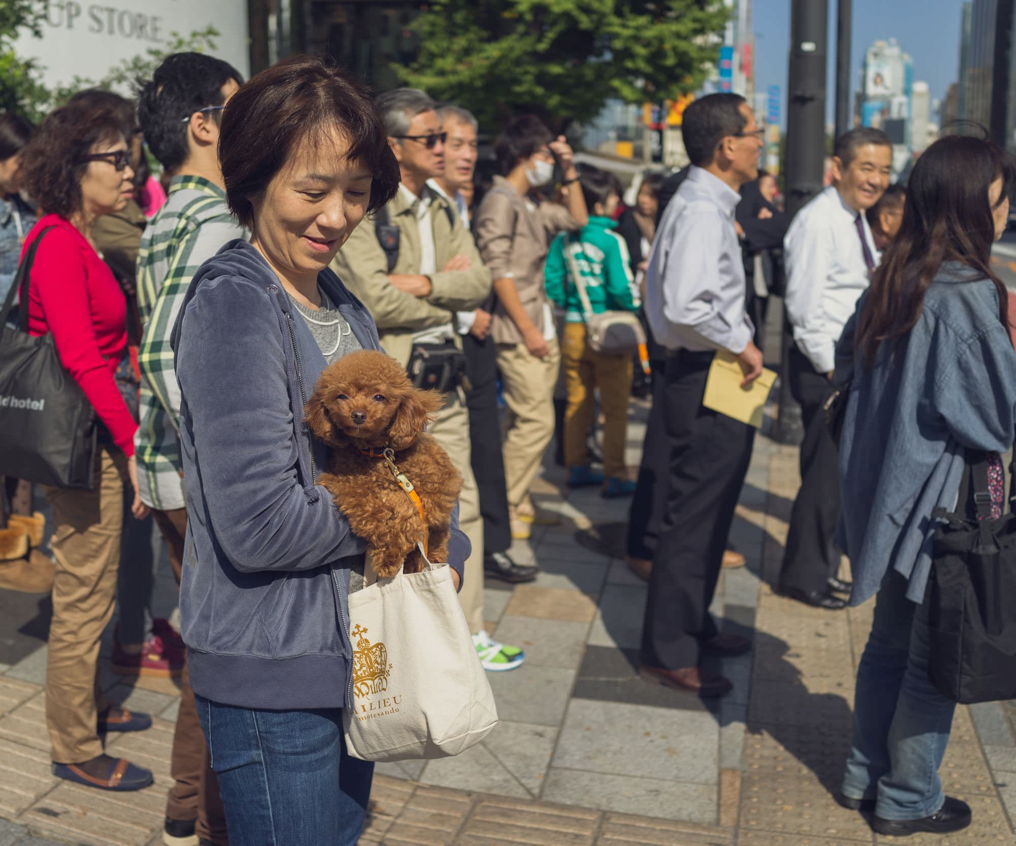 Japan day 1 photo DSC02289