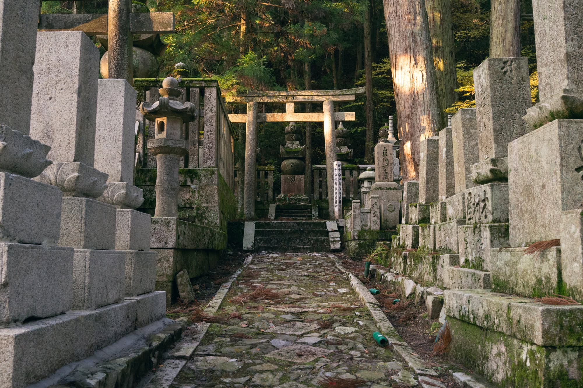 Japan day 11 photo DSC06986