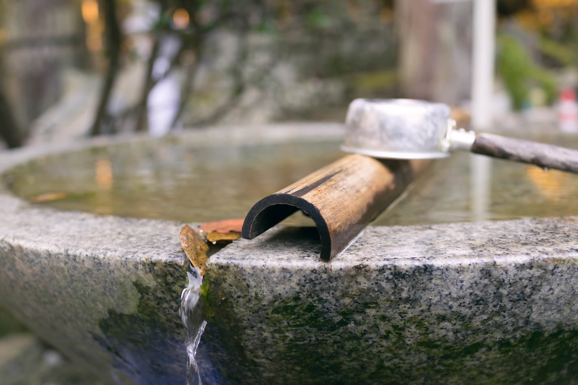 Japan day 11 photo DSC06999