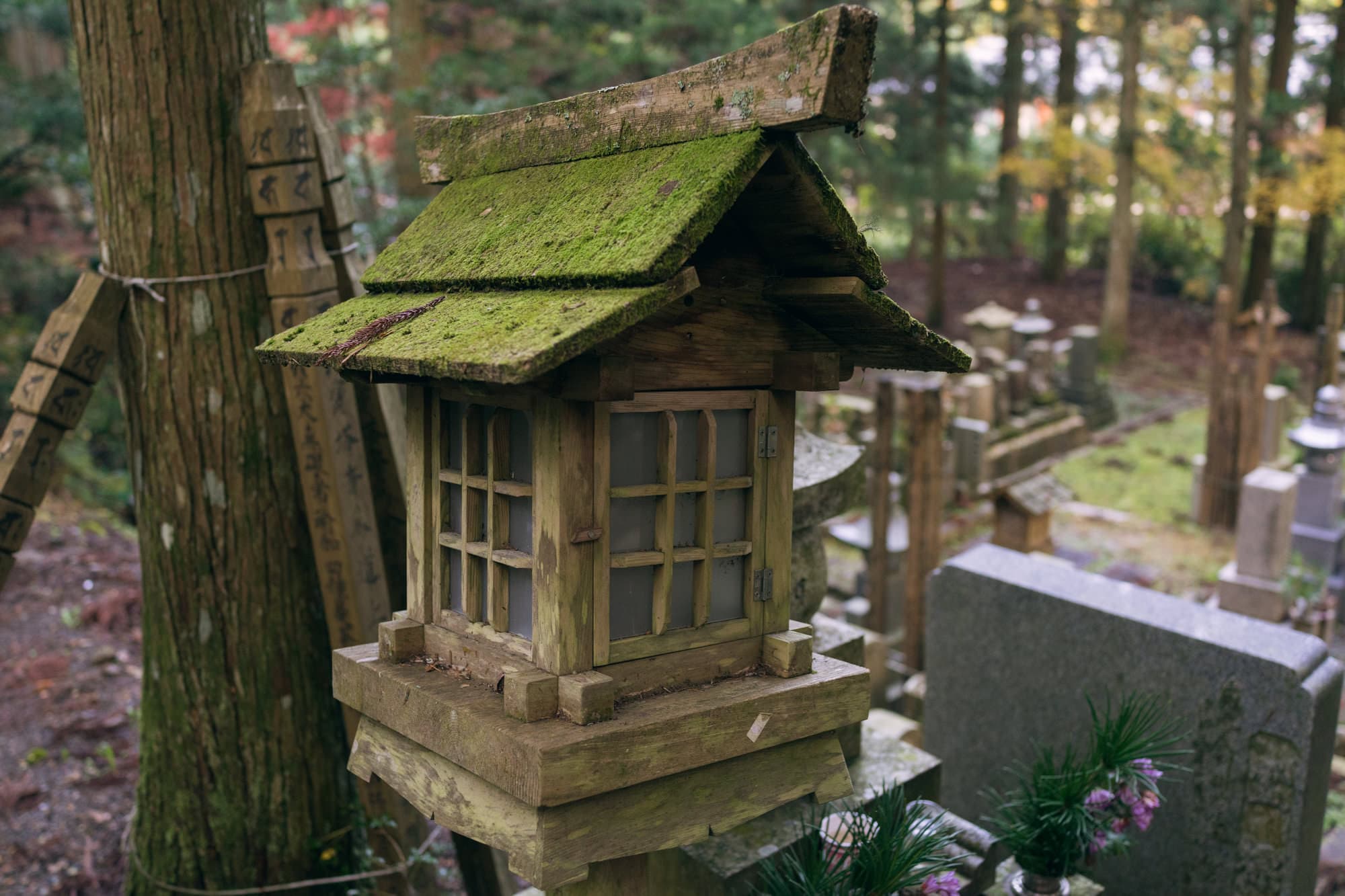 Japan day 11 photo DSC07035