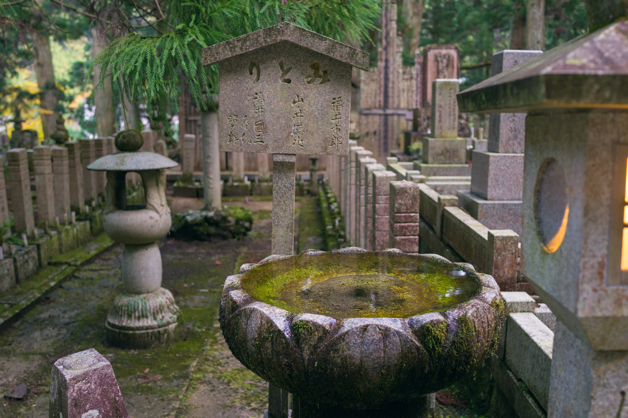 Japan day 11 photo DSC07052