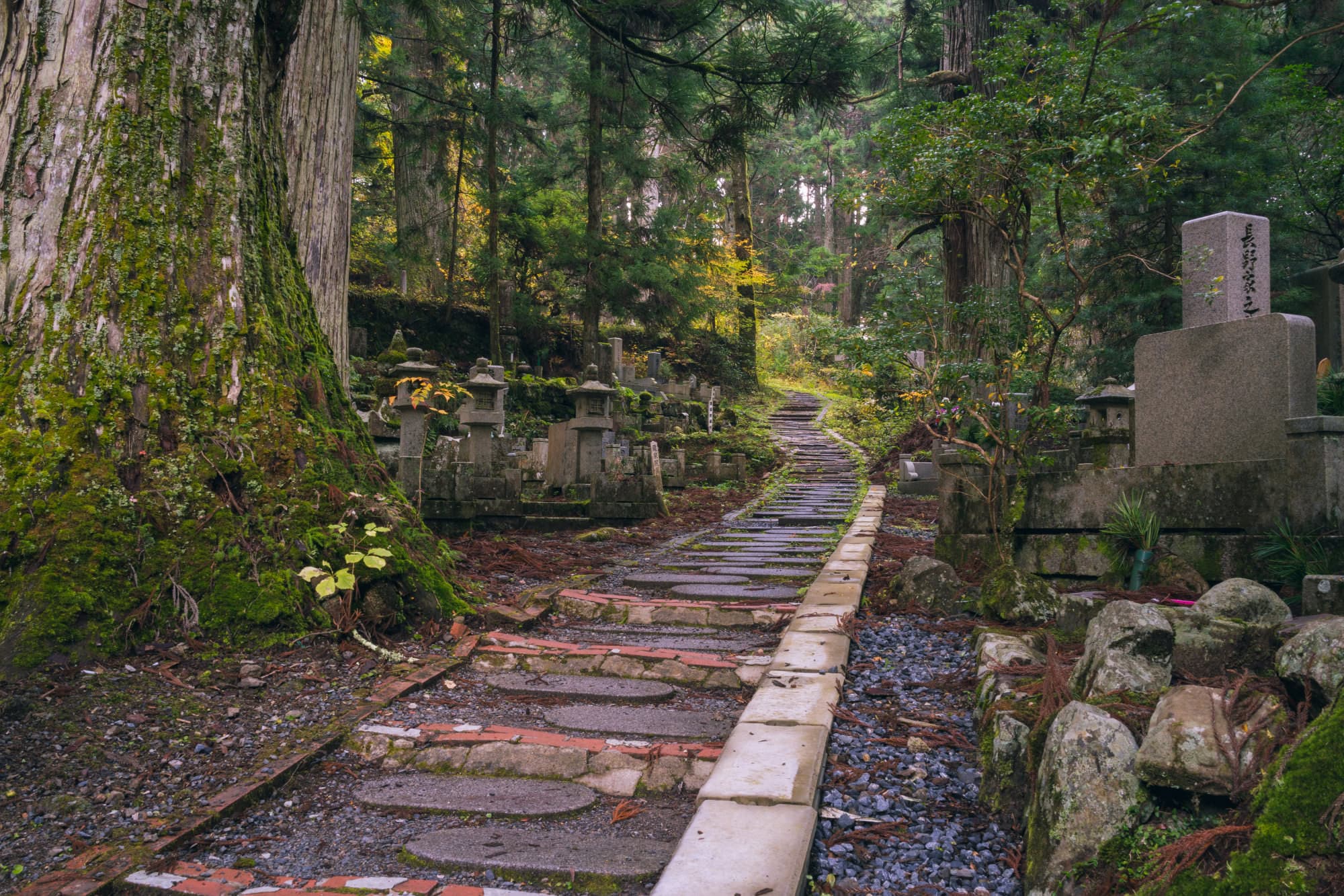Japan day 11 photo DSC07076