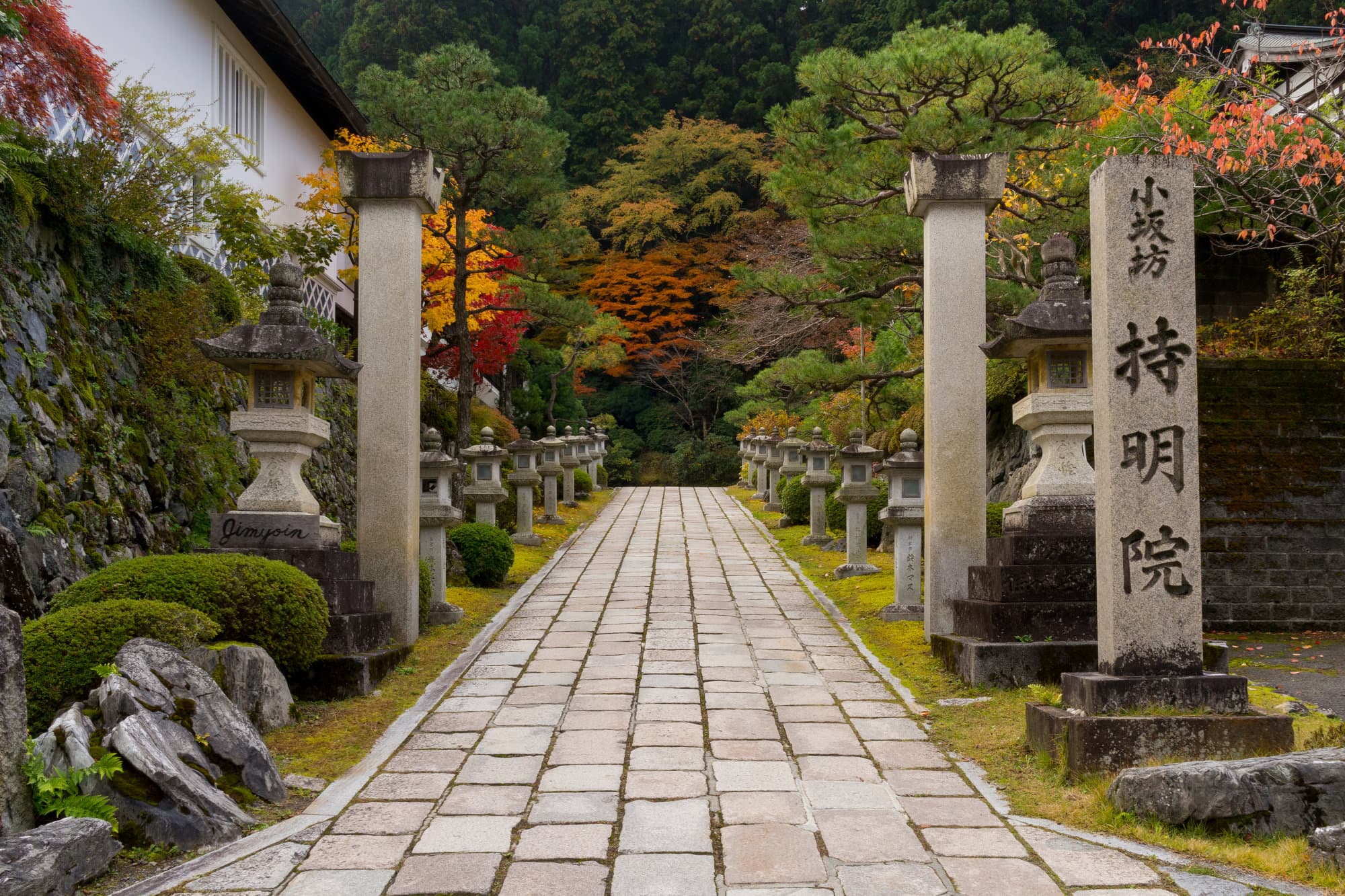 Japan day 12 photo DSC07178