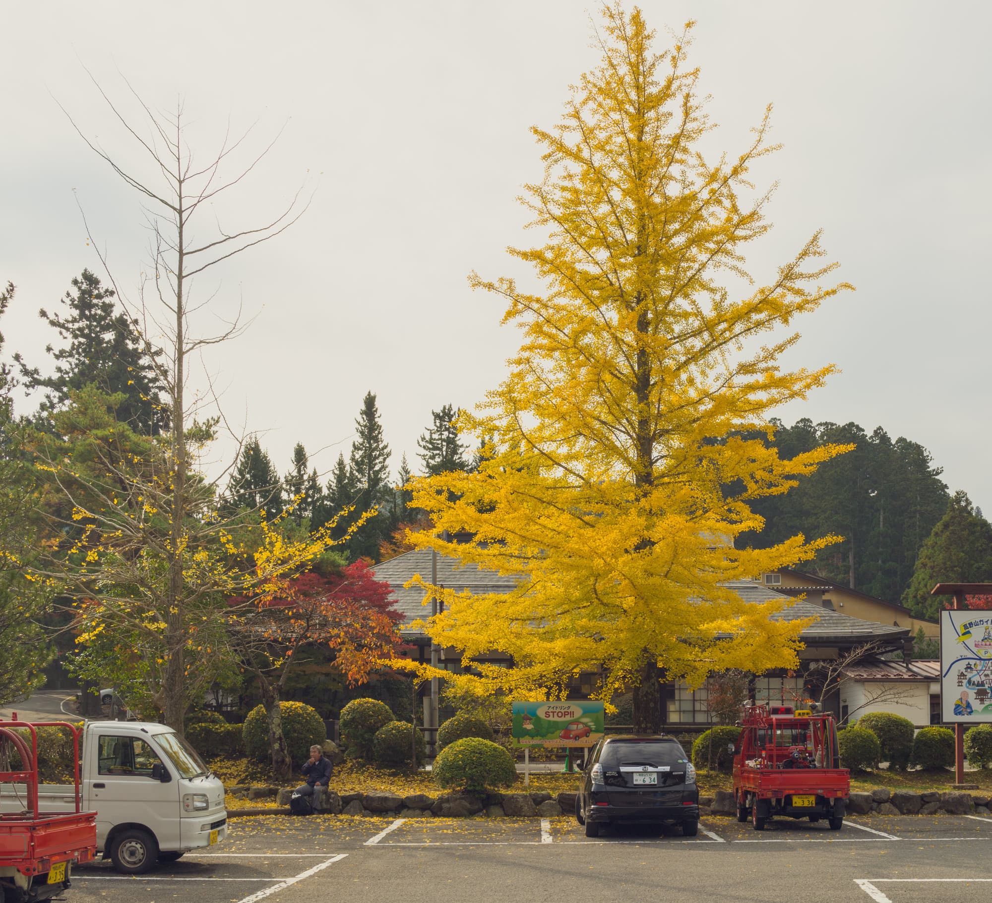 Japan day 12 photo DSC07197