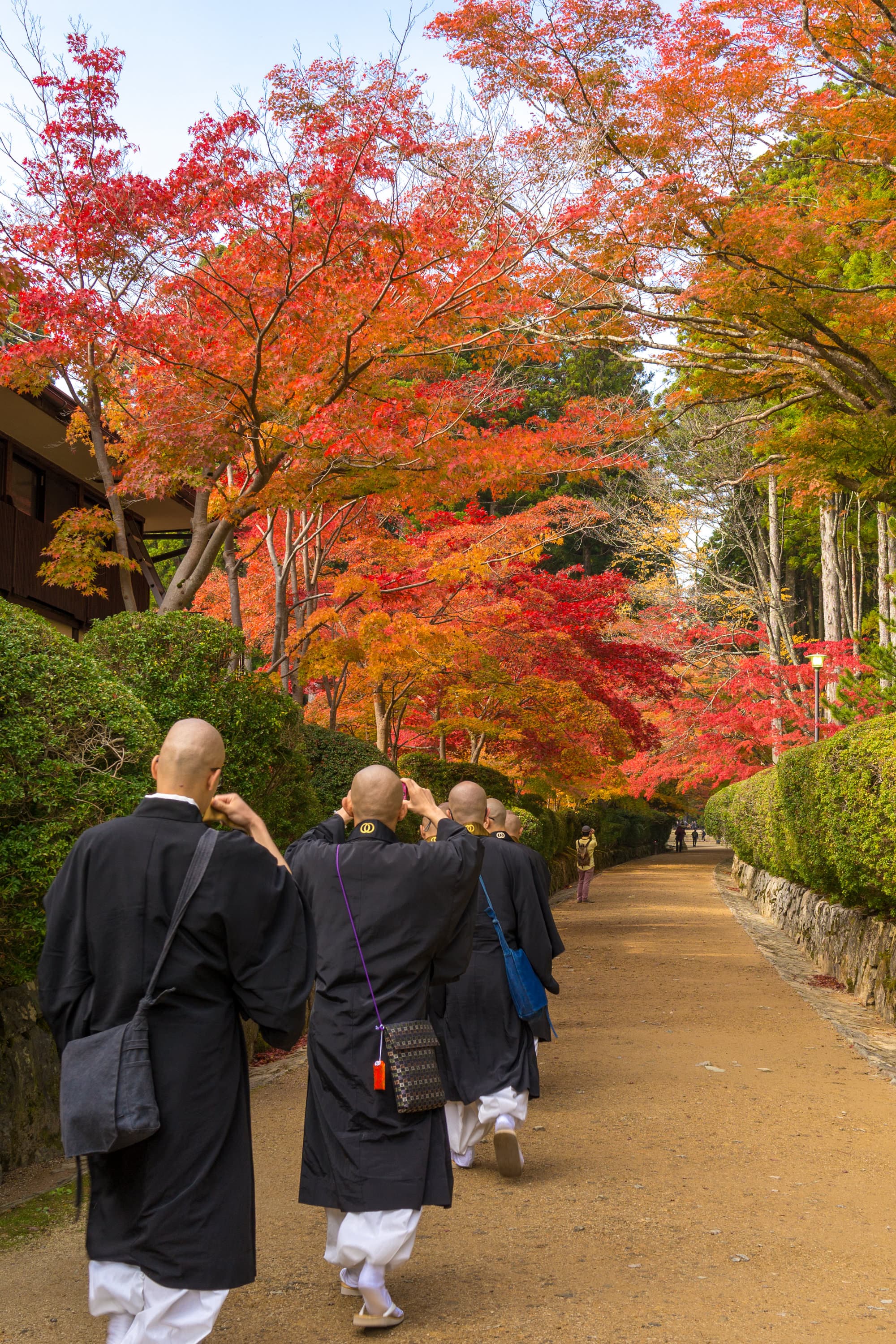 Japan day 12 photo DSC07304