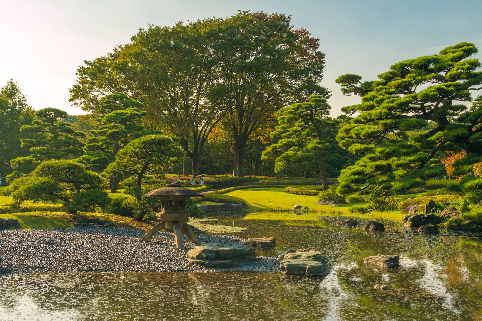 Imperial Palace, Shinjuku, Harajuku, Omotesandō