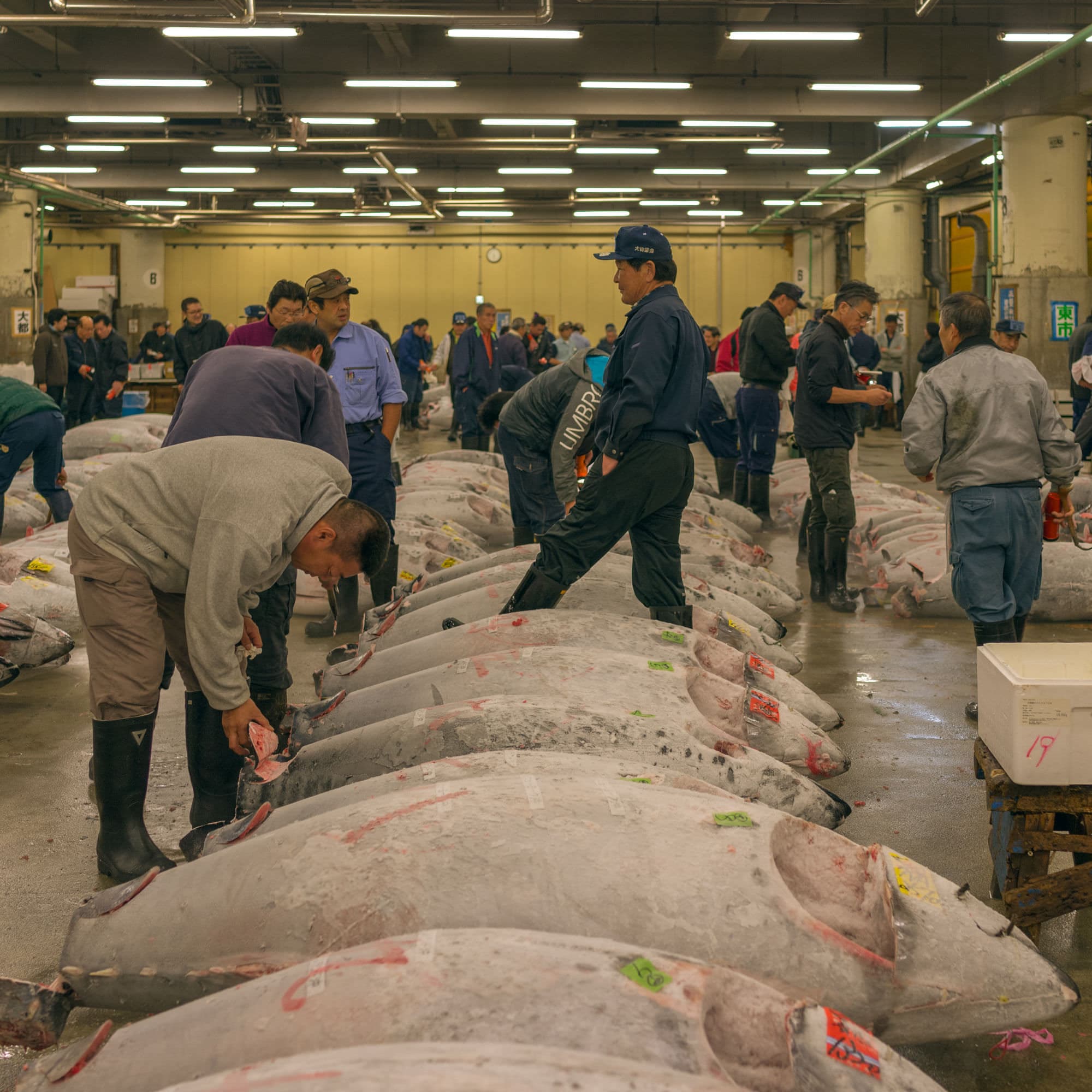Japan day 5 photo DSC04420