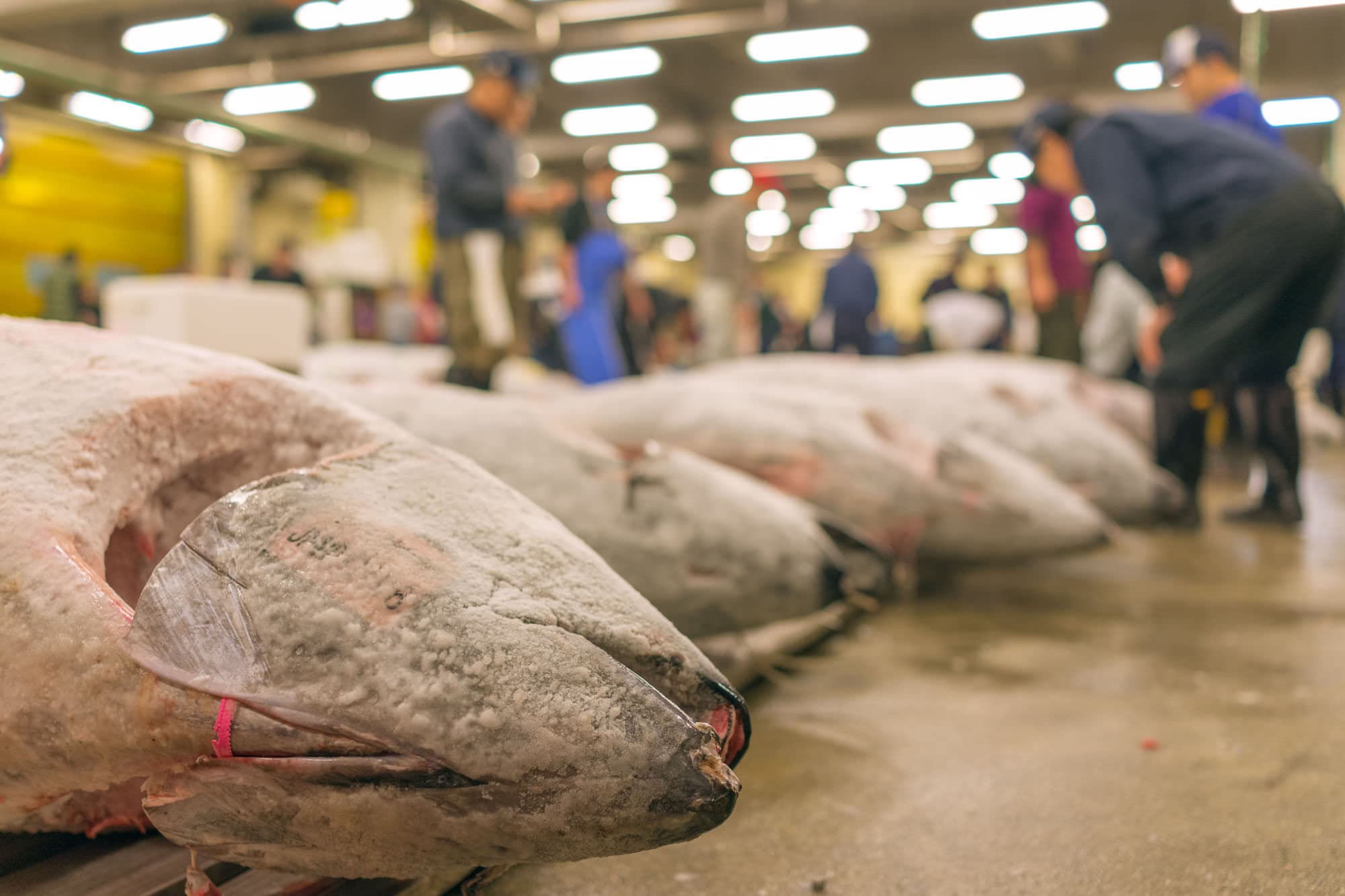 Japan day 5 photo DSC04444