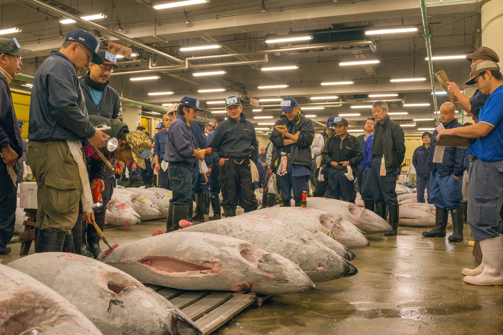 Japan day 5 photo DSC04469