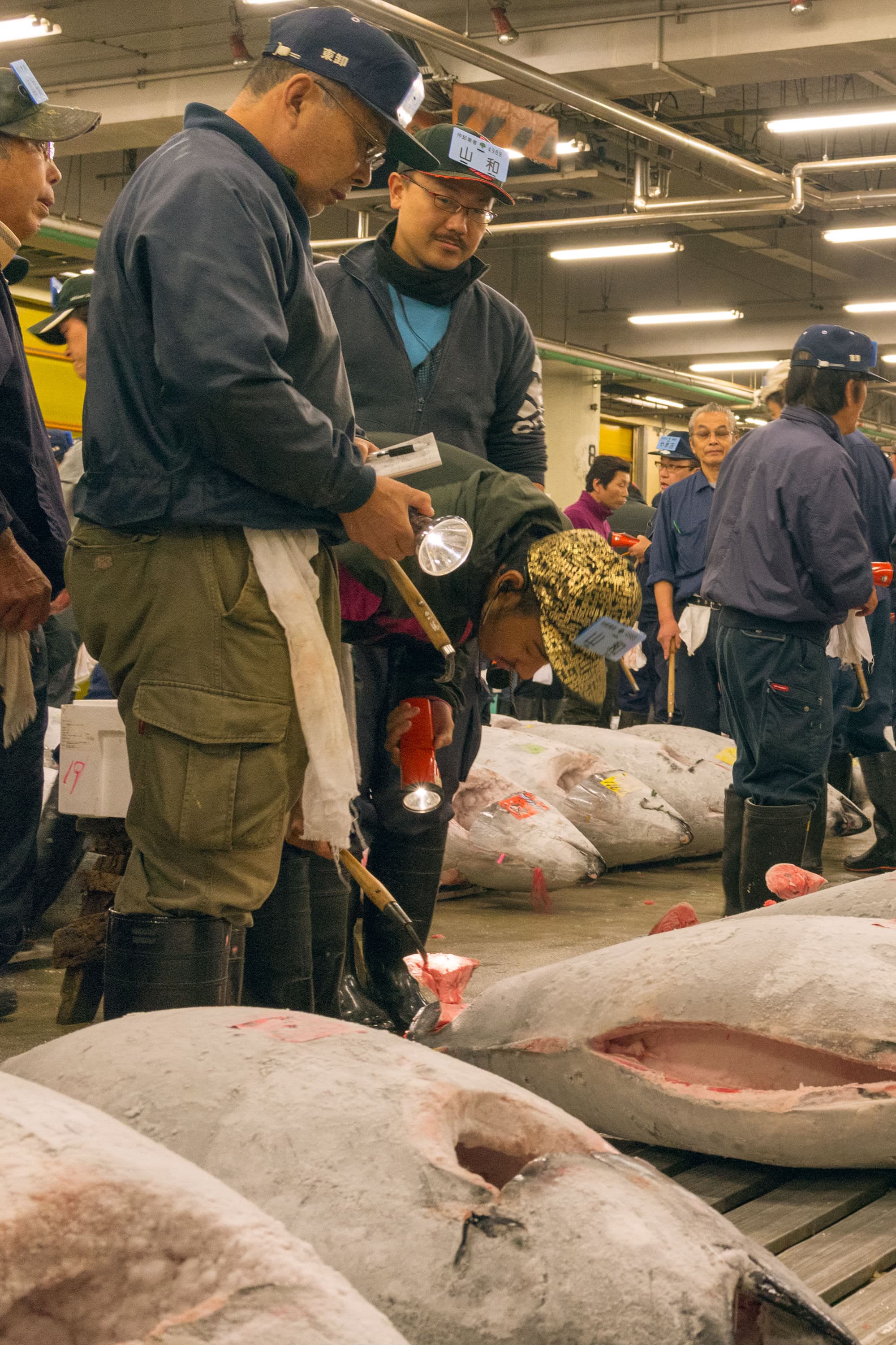 Japan day 5 photo DSC04470